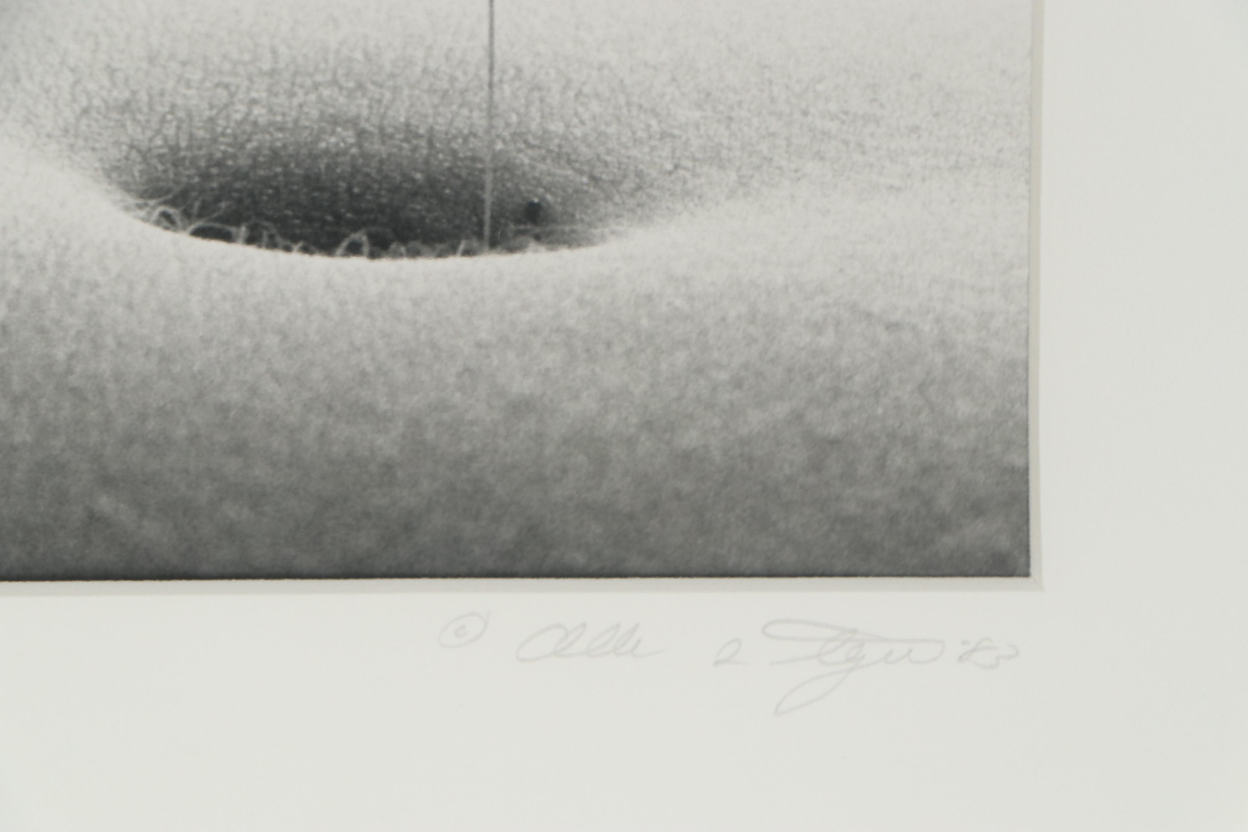 Allan Teger Photograph From The "Bodyscapes" Series, 1983