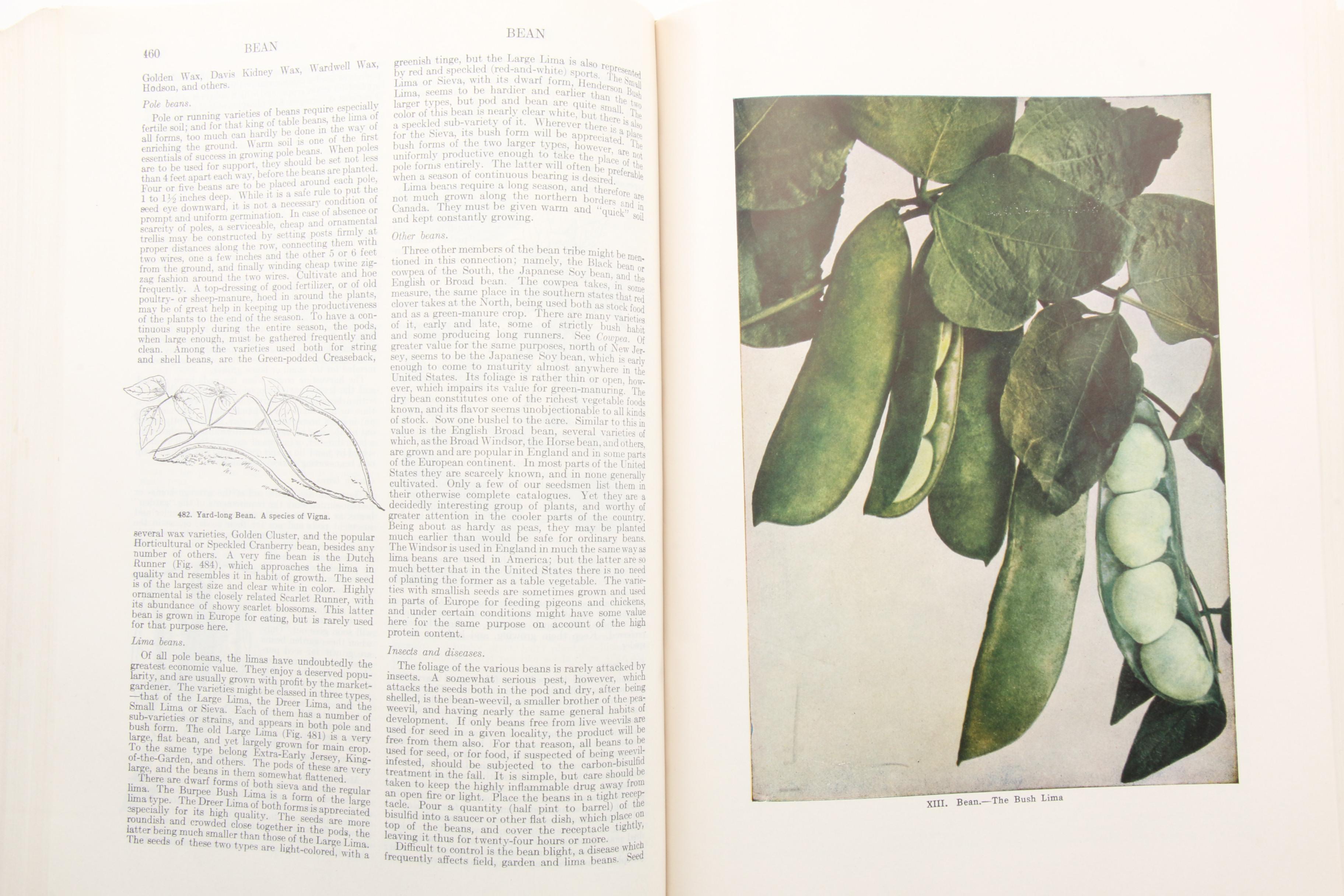 "The Standard Cyclopedia of Horticulture" Three-Volume Set, 1953