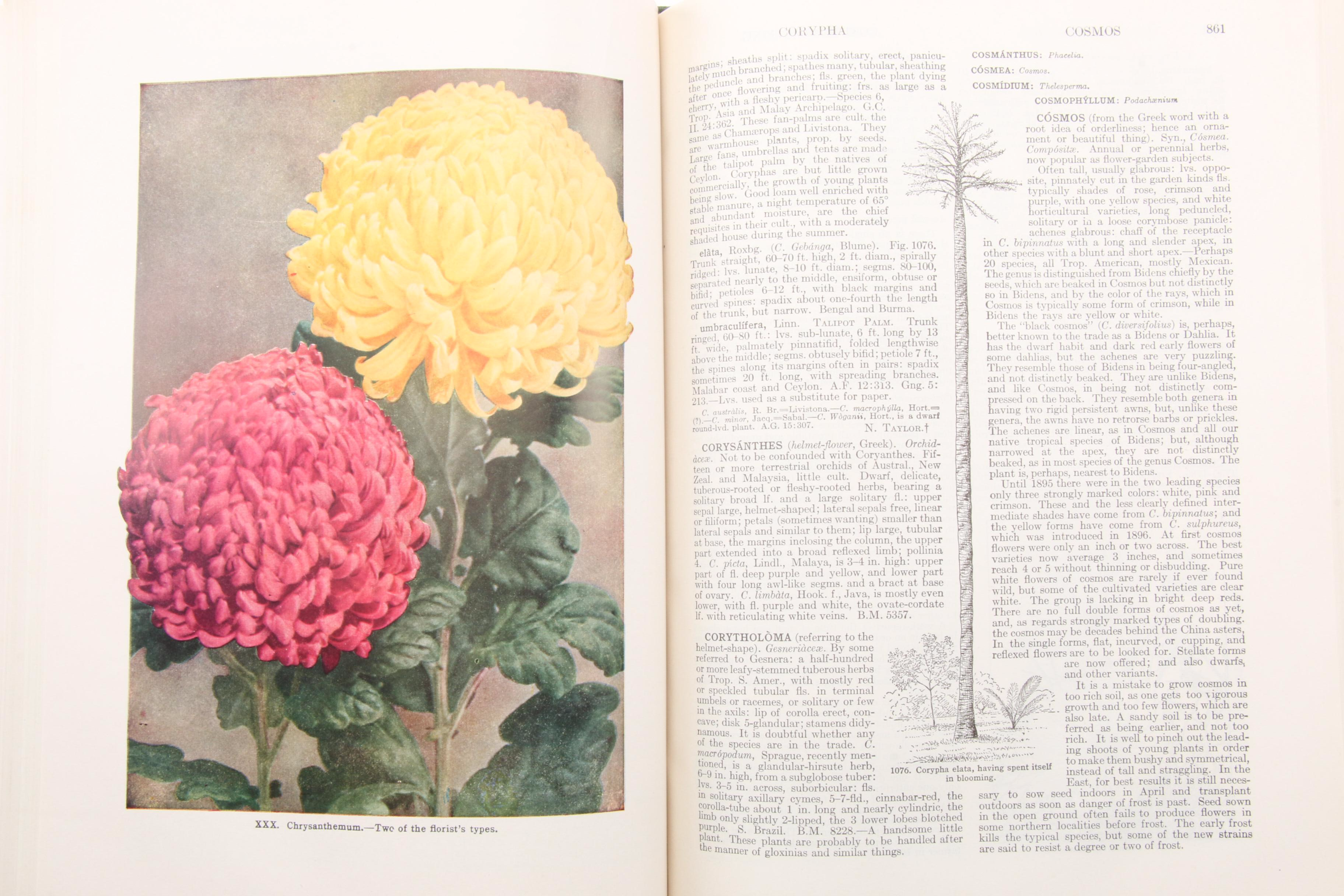 "The Standard Cyclopedia of Horticulture" Three-Volume Set, 1953