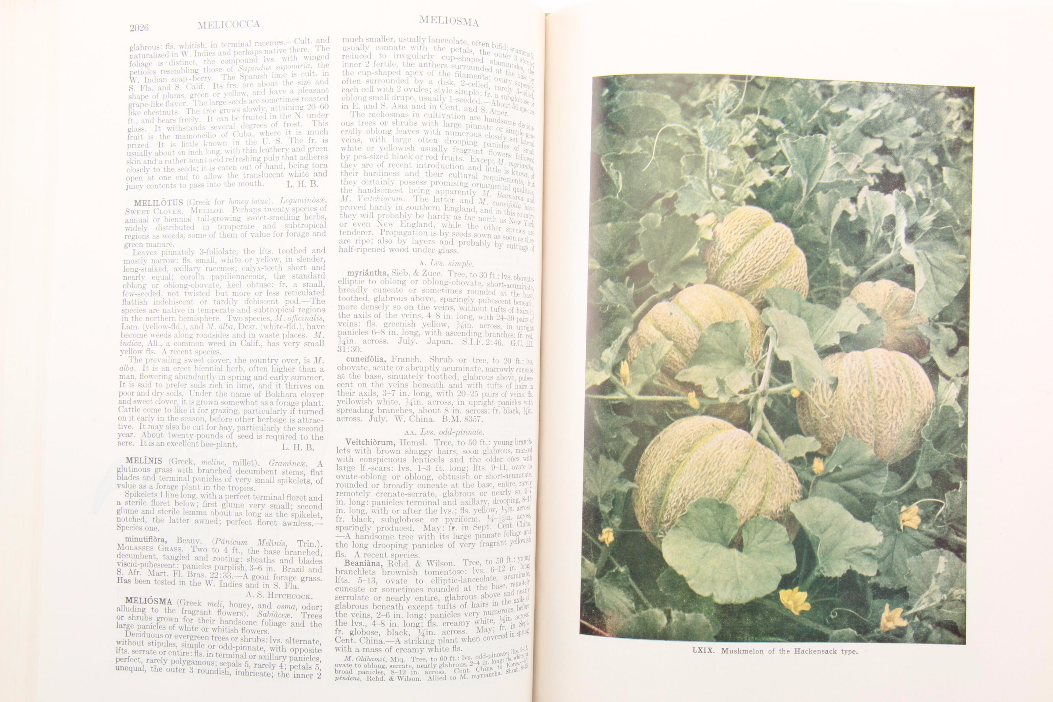 "The Standard Cyclopedia of Horticulture" Three-Volume Set, 1953