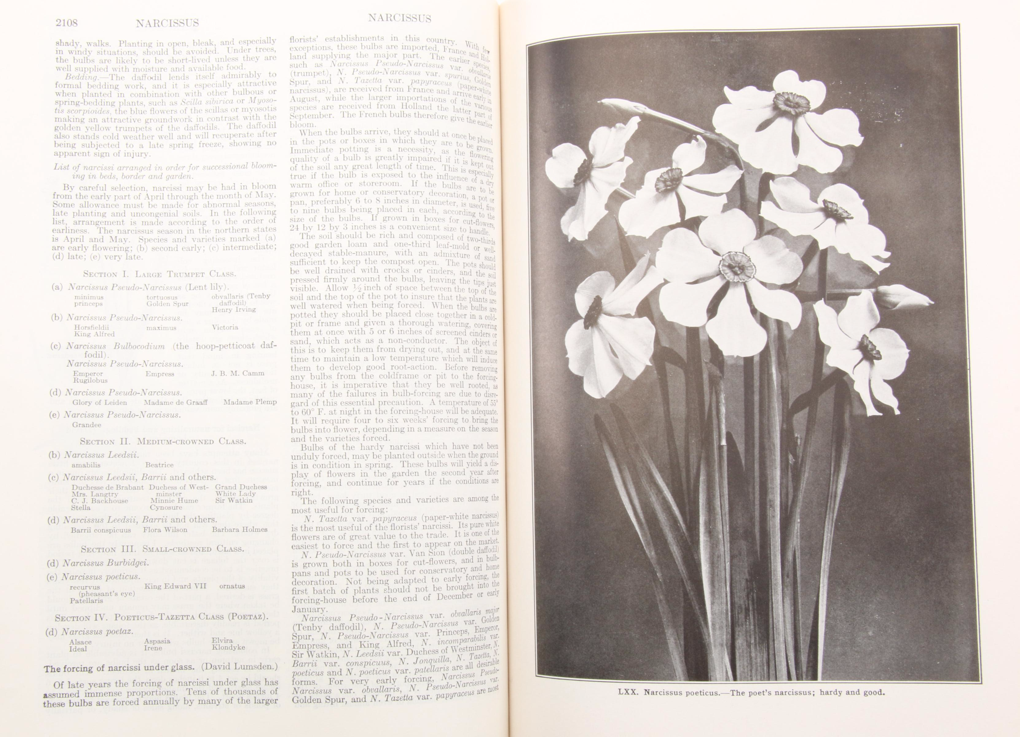 "The Standard Cyclopedia of Horticulture" Three-Volume Set, 1953