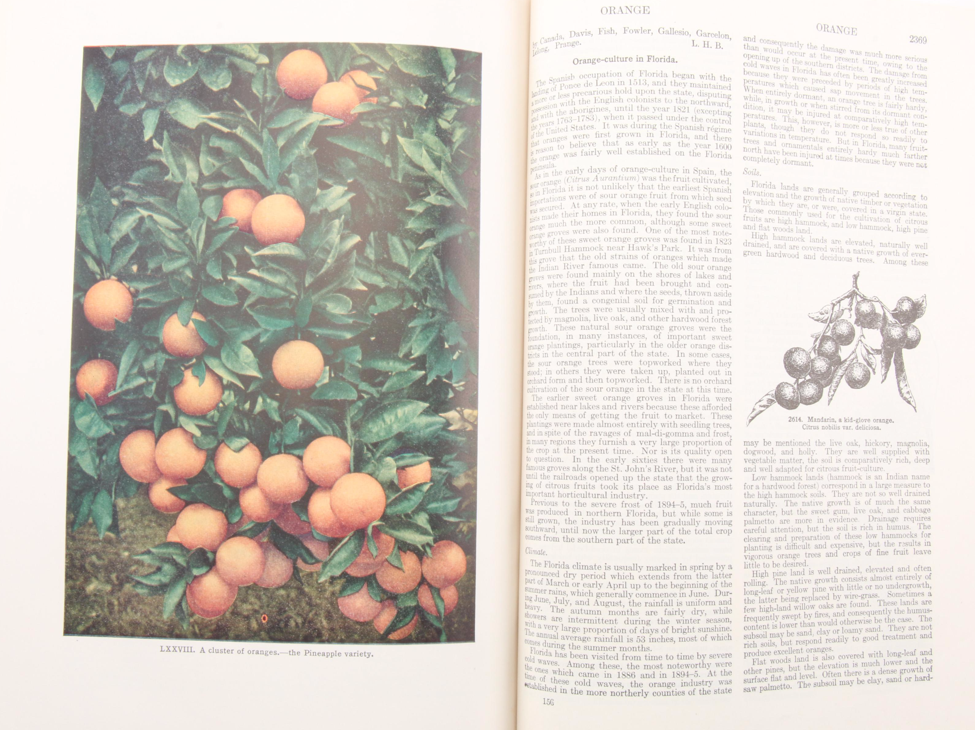 "The Standard Cyclopedia of Horticulture" Three-Volume Set, 1953