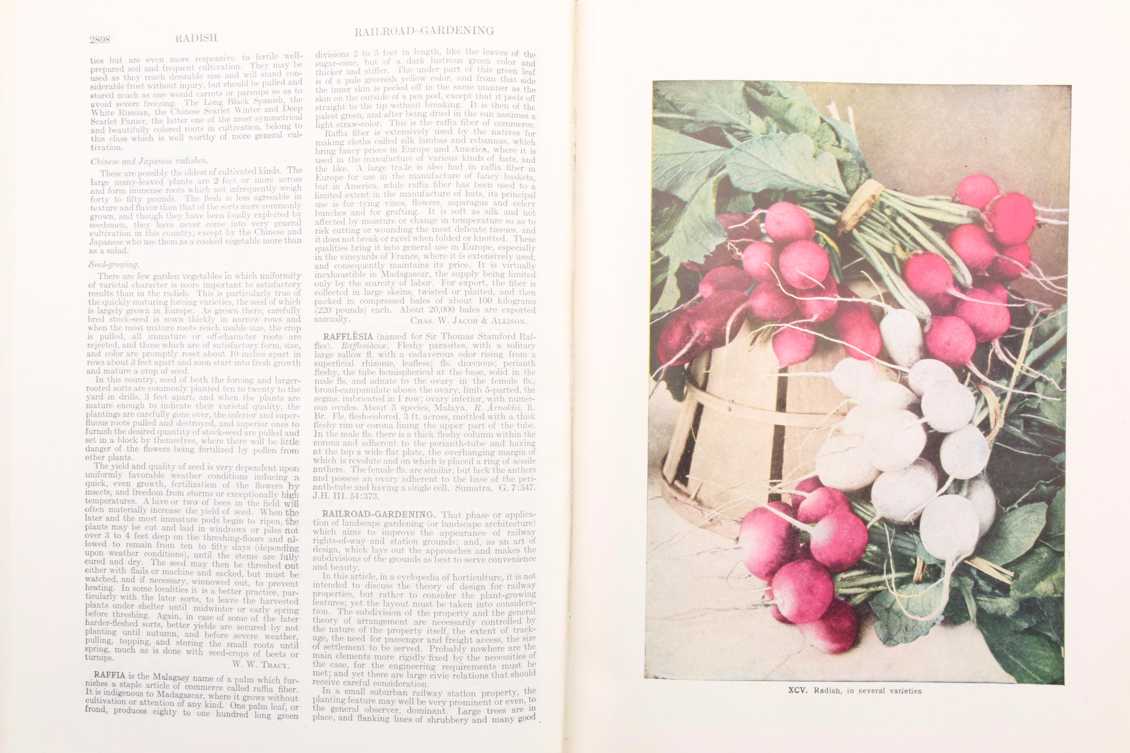 "The Standard Cyclopedia of Horticulture" Three-Volume Set, 1953