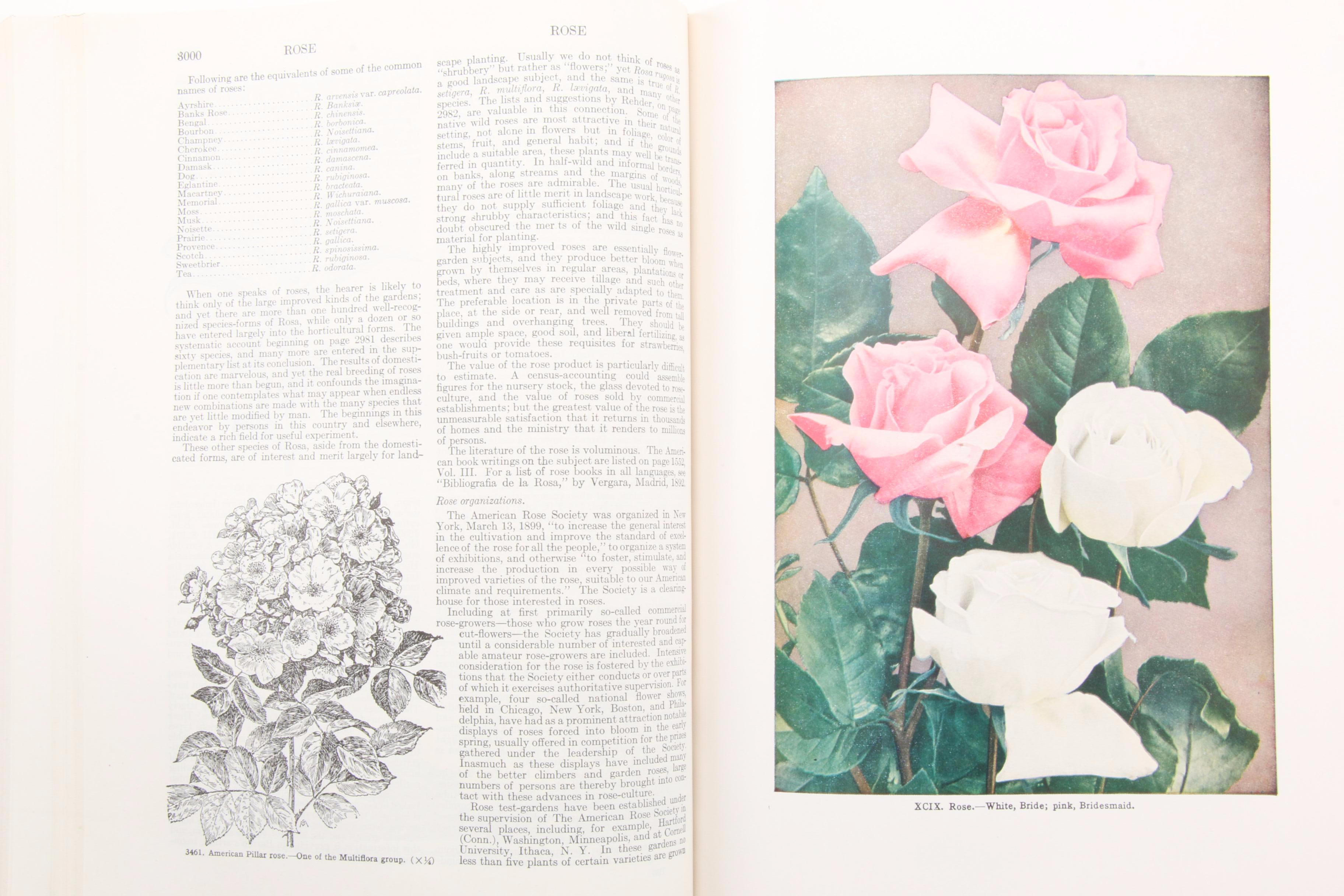 "The Standard Cyclopedia of Horticulture" Three-Volume Set, 1953