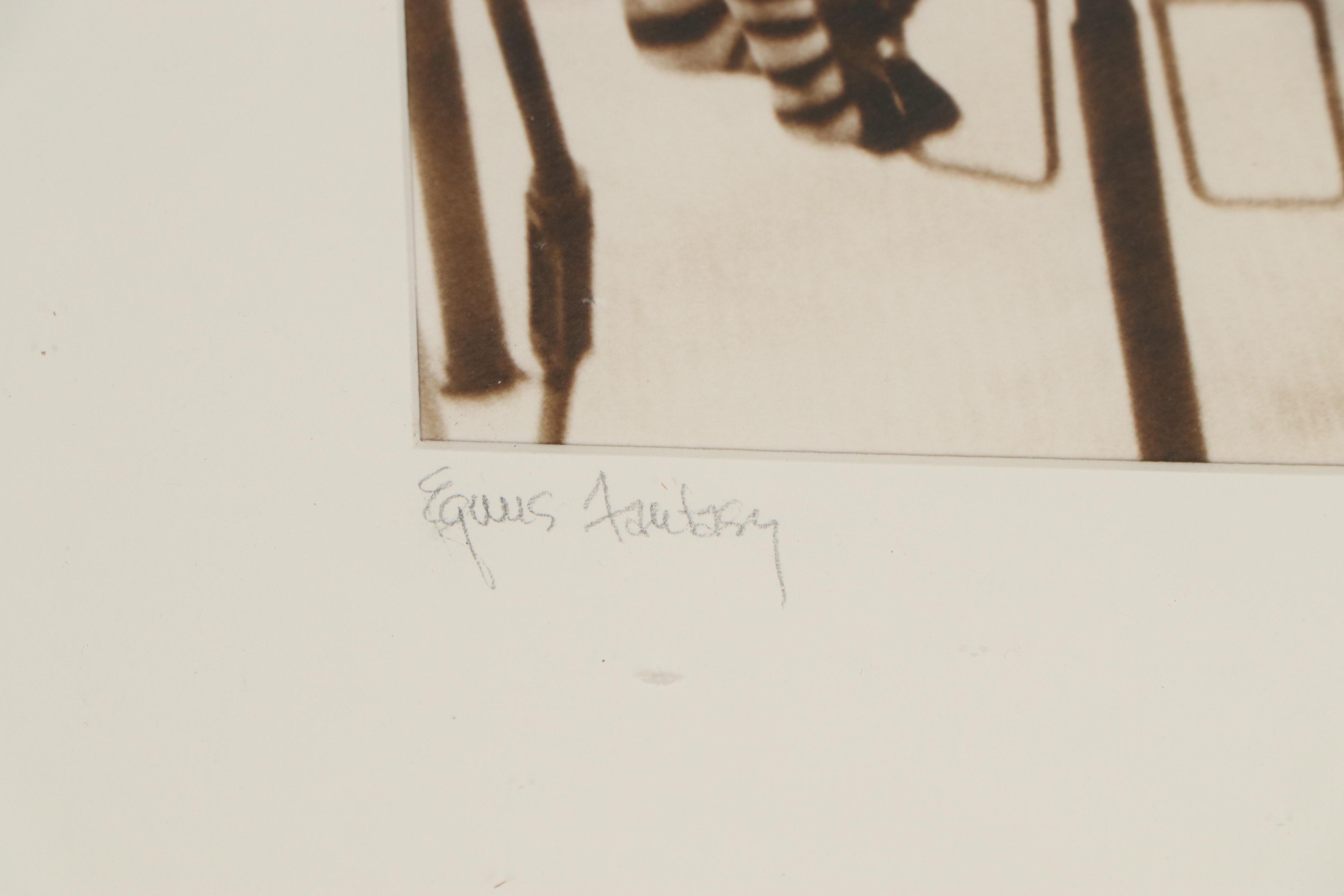 Diana Duncan Holmes Sepia-Toned Silver Print "Equas Fantasy," 1978