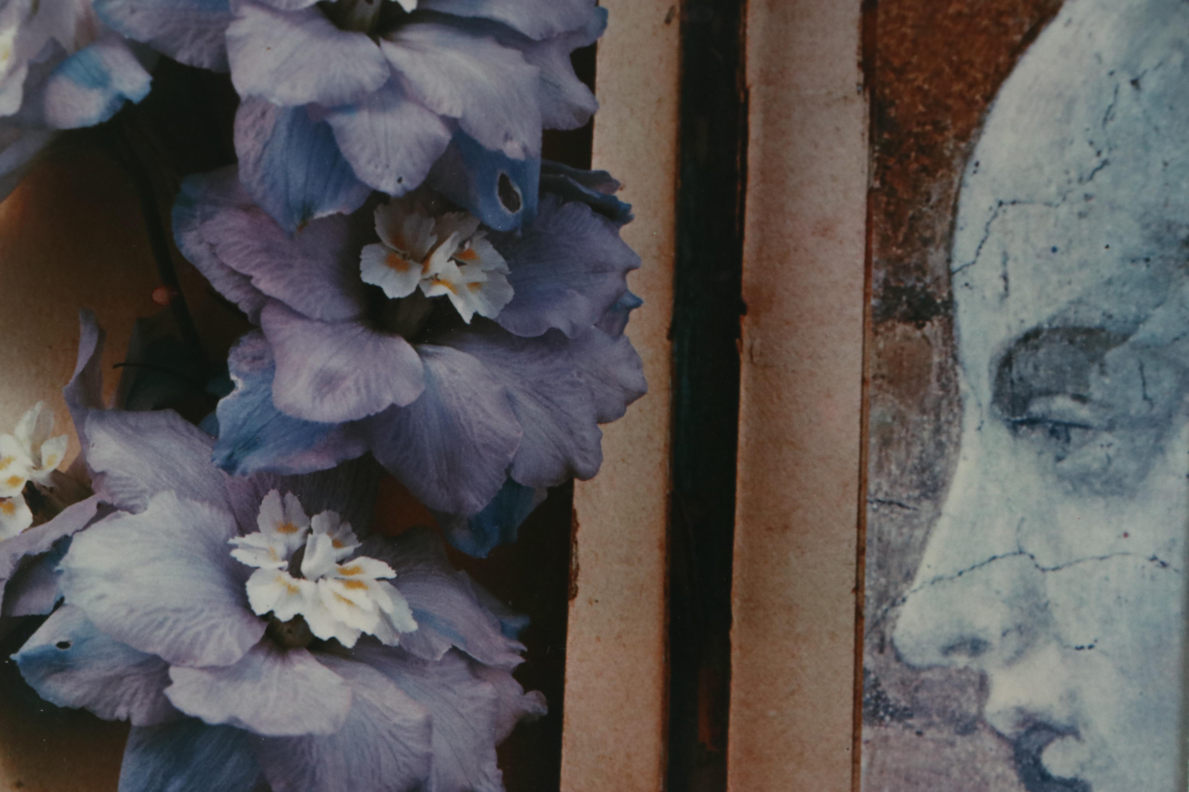 Olivia Parker Color Photograph "Hybrids," 1981