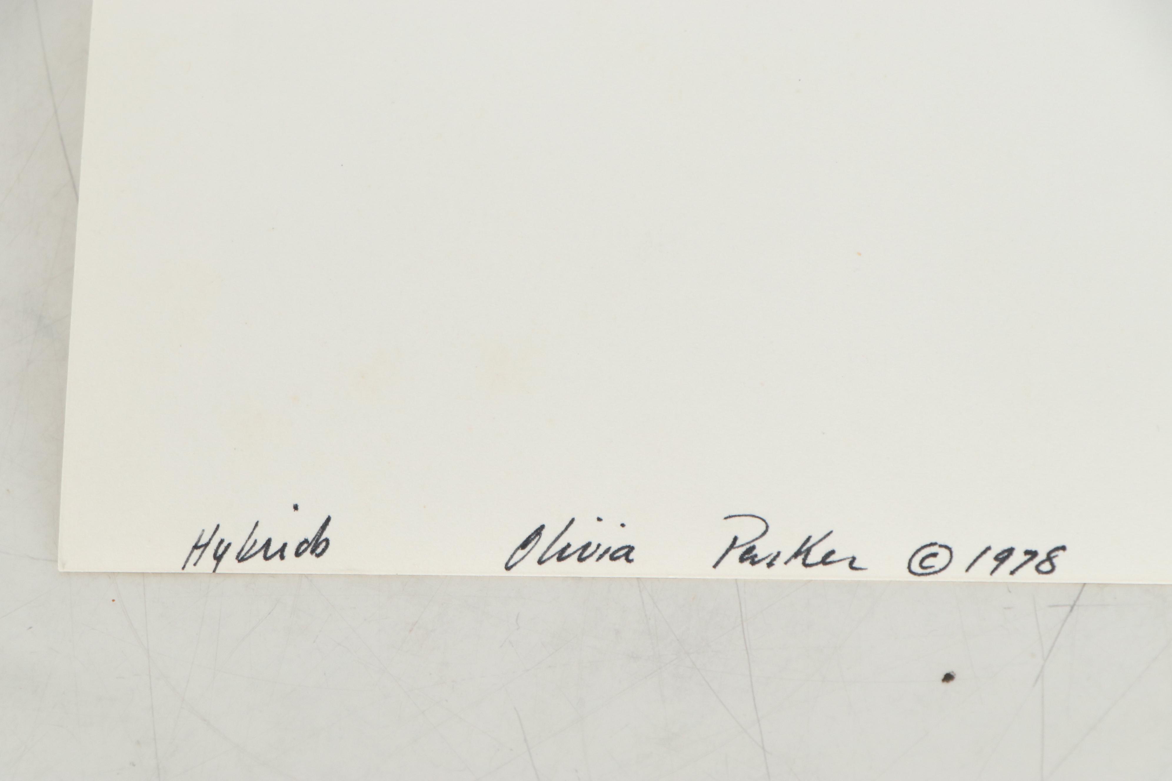 Olivia Parker Color Photograph "Hybrids," 1981