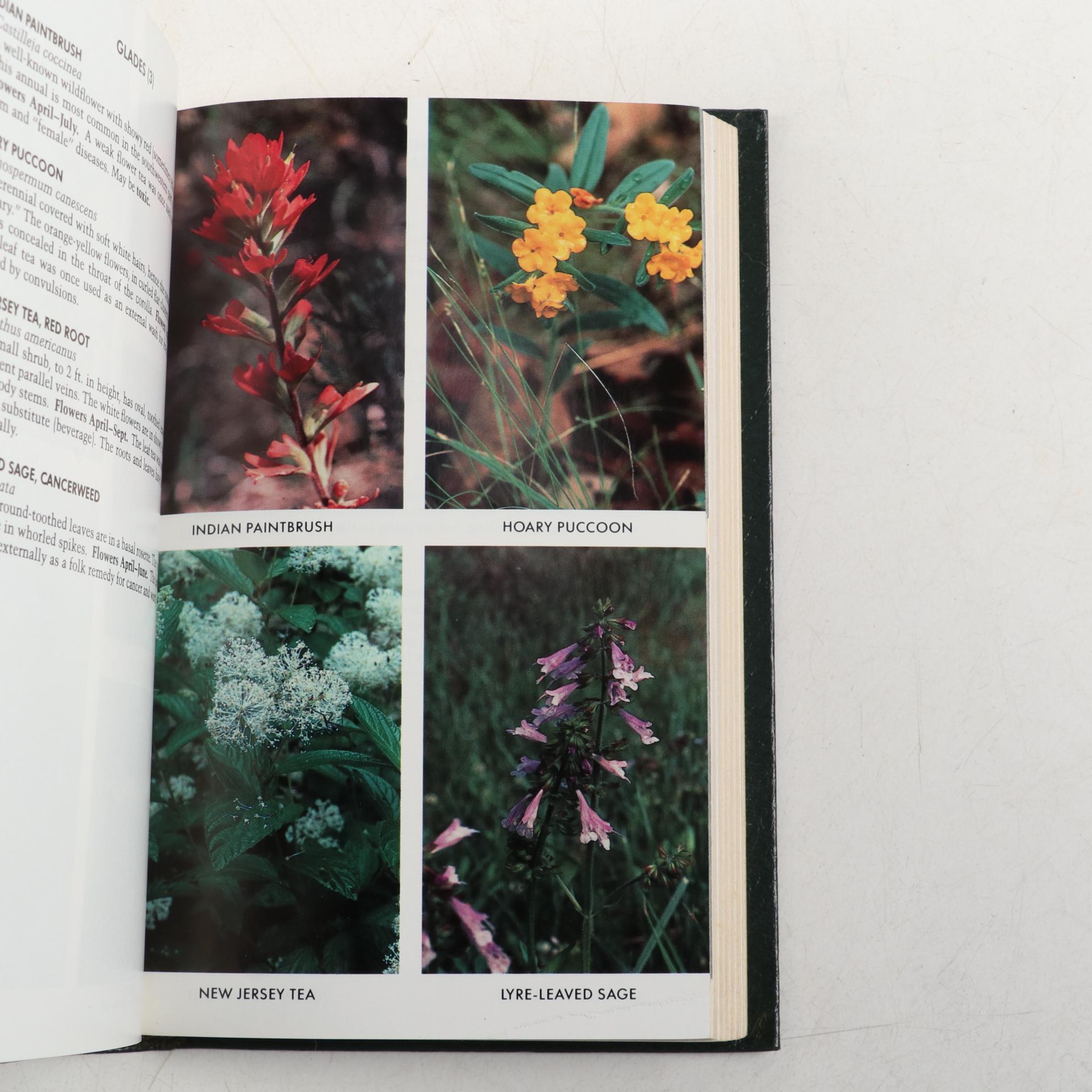 Easton Press Roger Tory Peterson Field Guides on Wildflowers and Plants