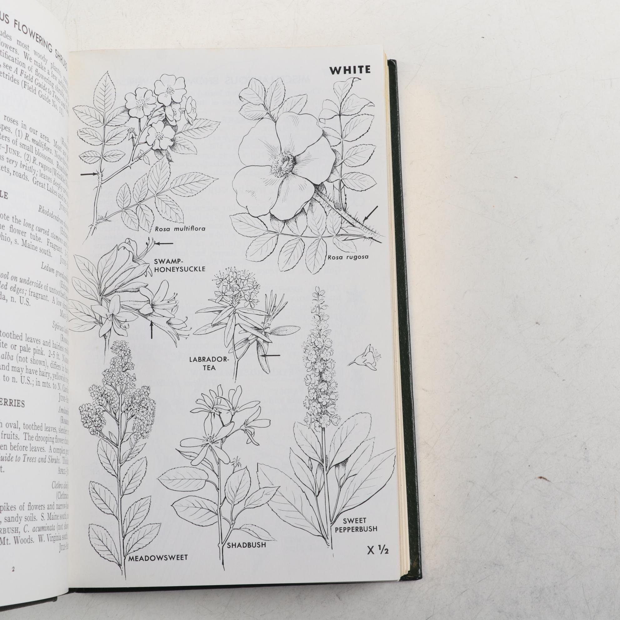 Easton Press Roger Tory Peterson Field Guides on Wildflowers and Plants