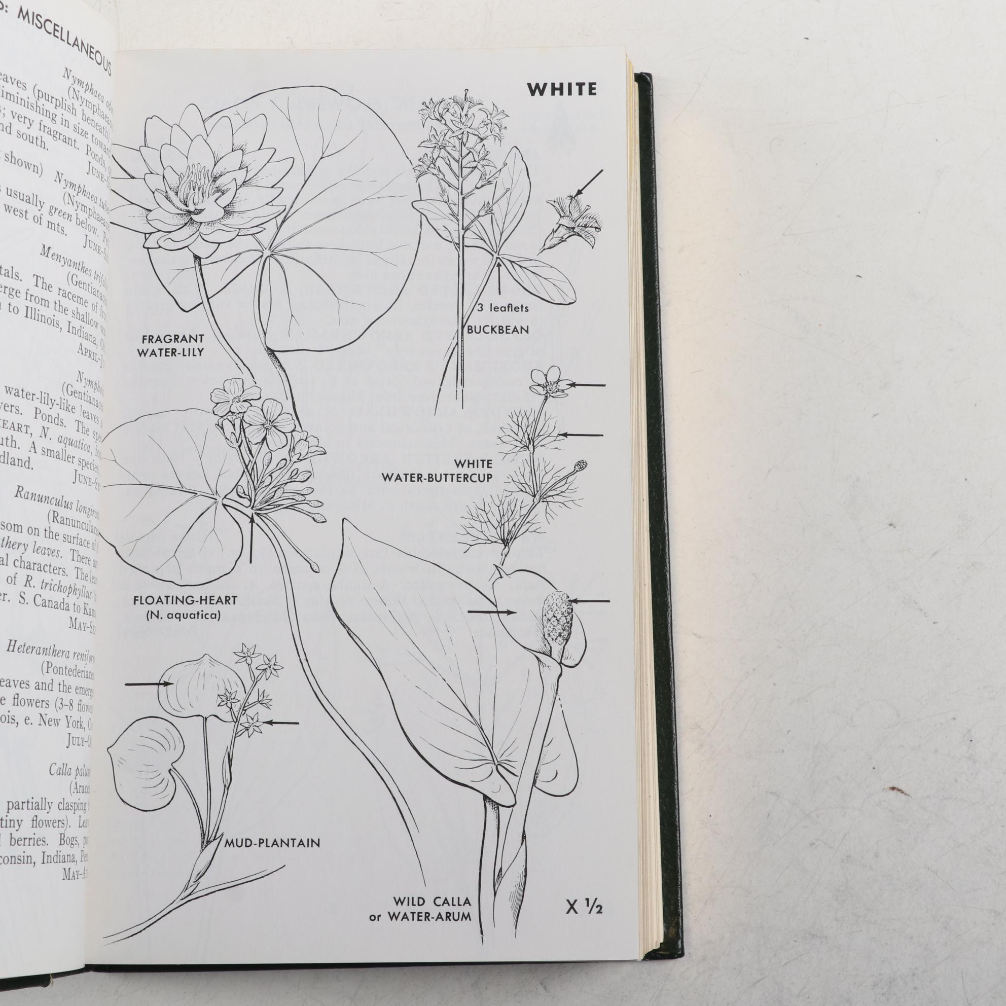 Easton Press Roger Tory Peterson Field Guides on Wildflowers and Plants