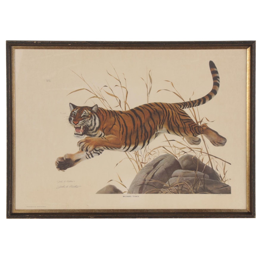 John A. Ruthven Offset Lithograph "Bengal Tiger," Late 20th Century