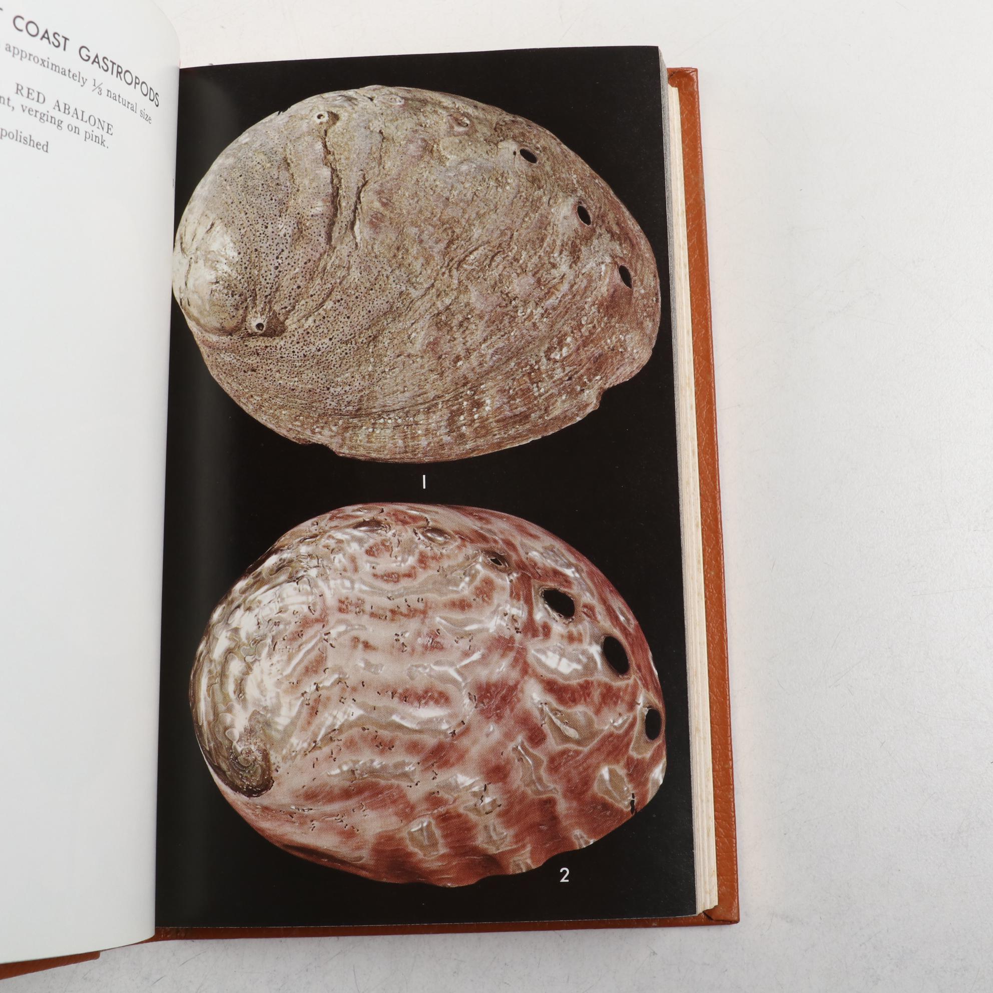 Easton Press Roger Tory Peterson Field Guides Series on Fish and Seashells