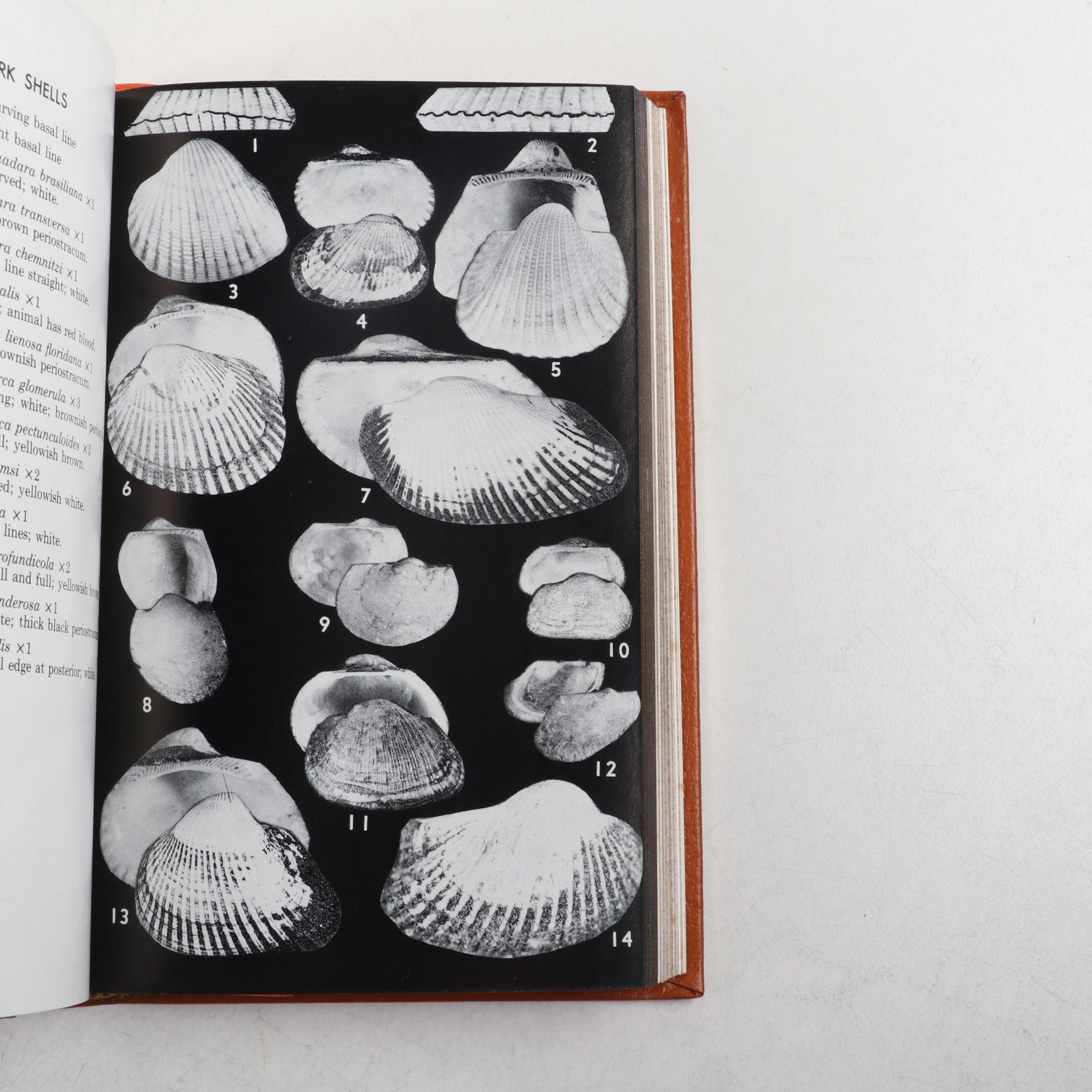 Easton Press Roger Tory Peterson Field Guides Series on Fish and Seashells