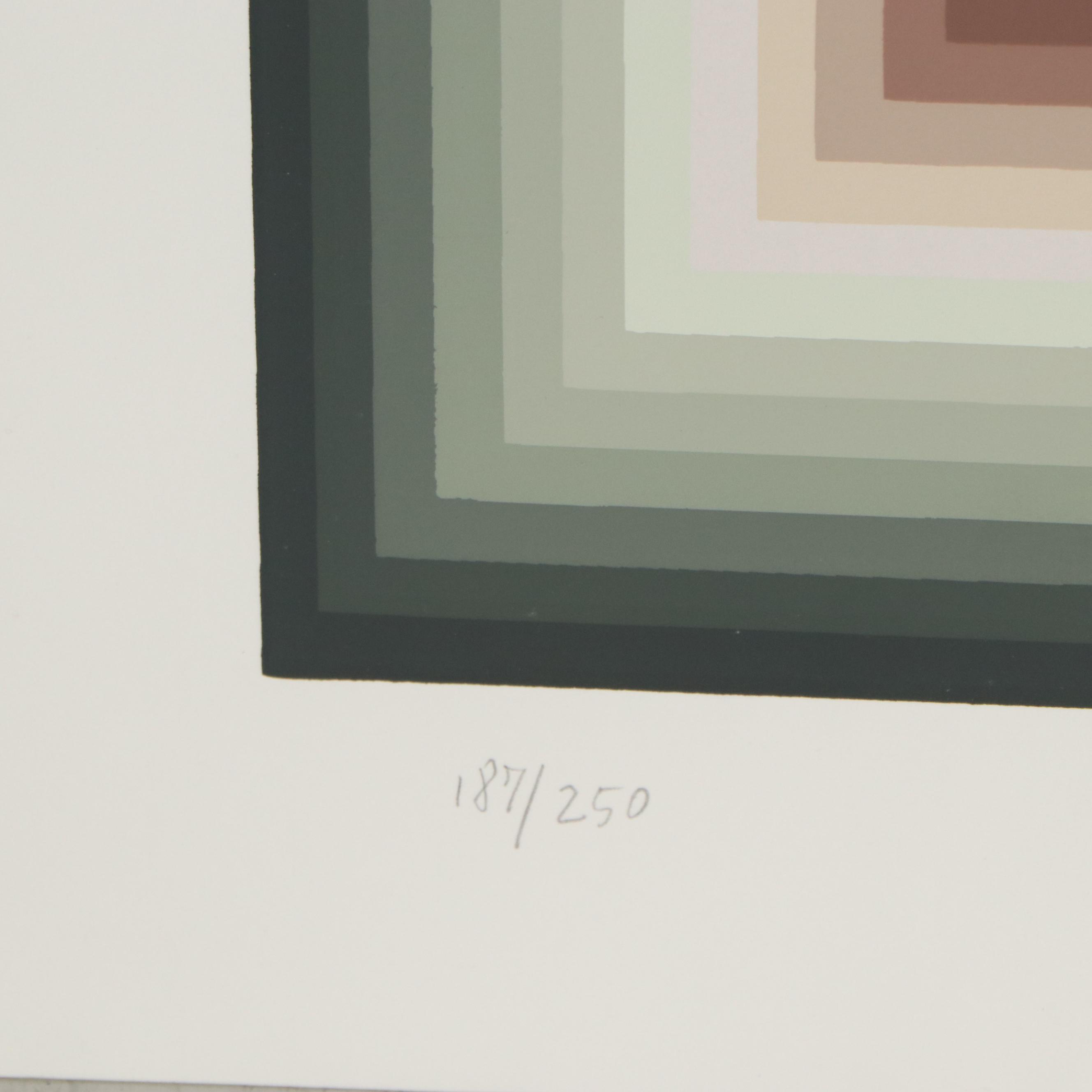 Jurgen Peters Op Art Serigraph "Interchange," 1980