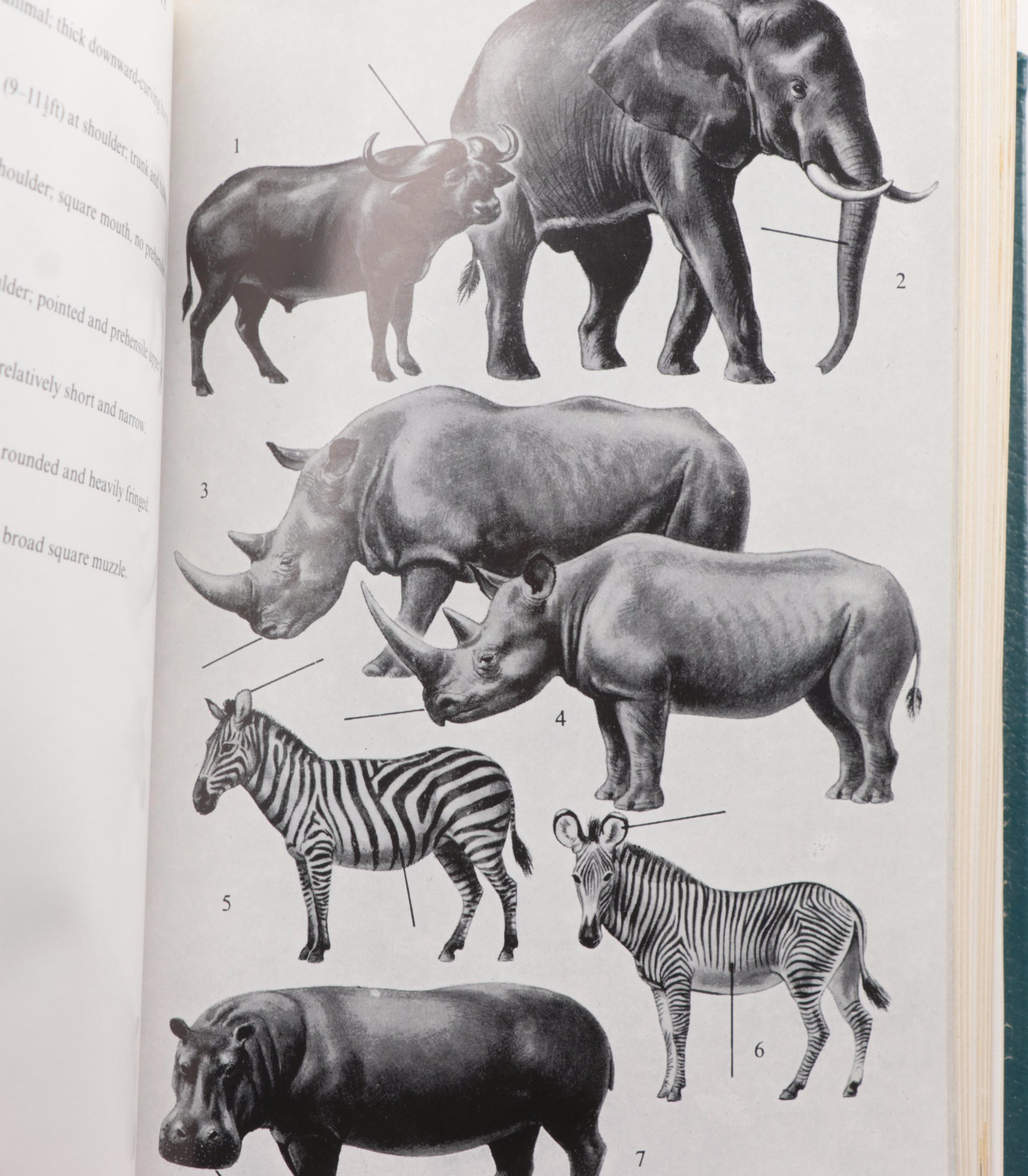 Easton Press Roger Tory Peterson Field Guides Series, Late 20th Century