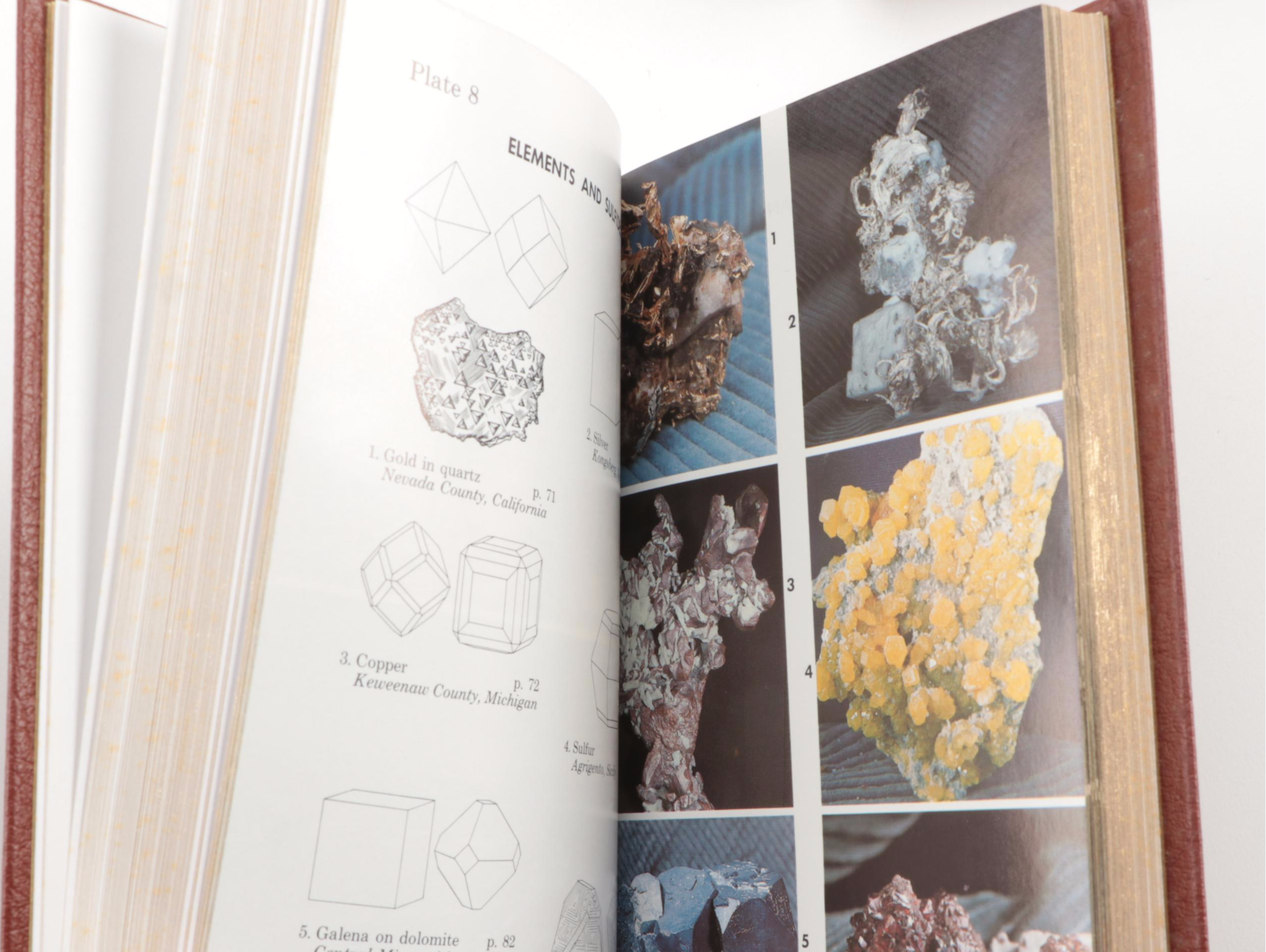 Easton Press Roger Tory Peterson Field Guides Series, Late 20th Century