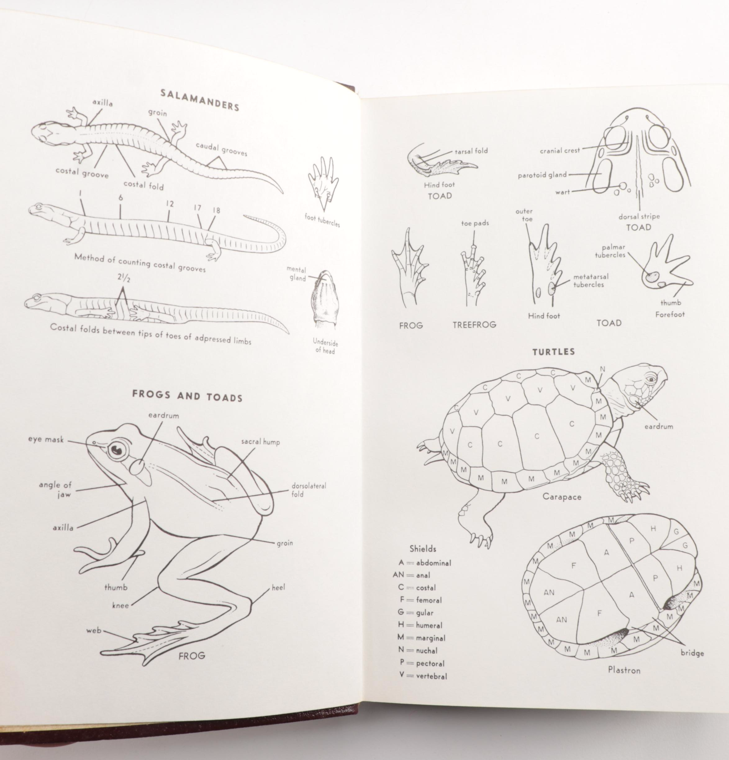 Easton Press Roger Tory Peterson Field Guides Series, Late 20th Century