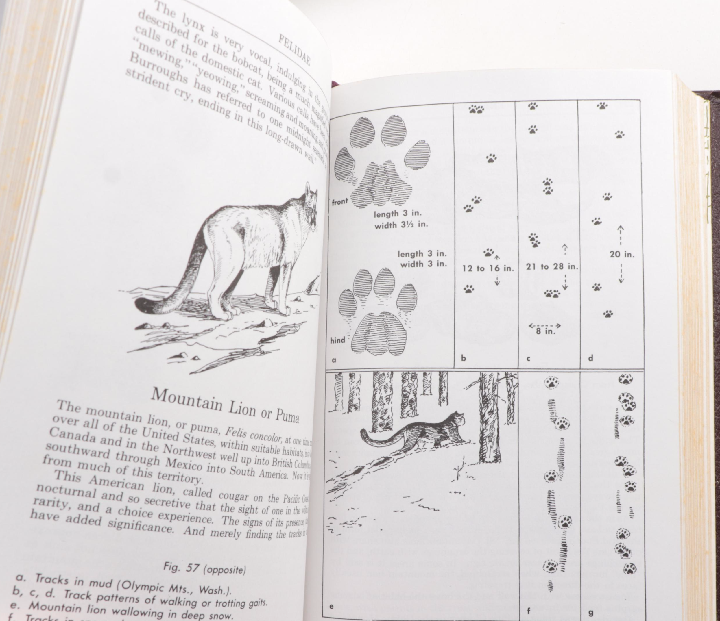 Easton Press Roger Tory Peterson Field Guides Series, Late 20th Century