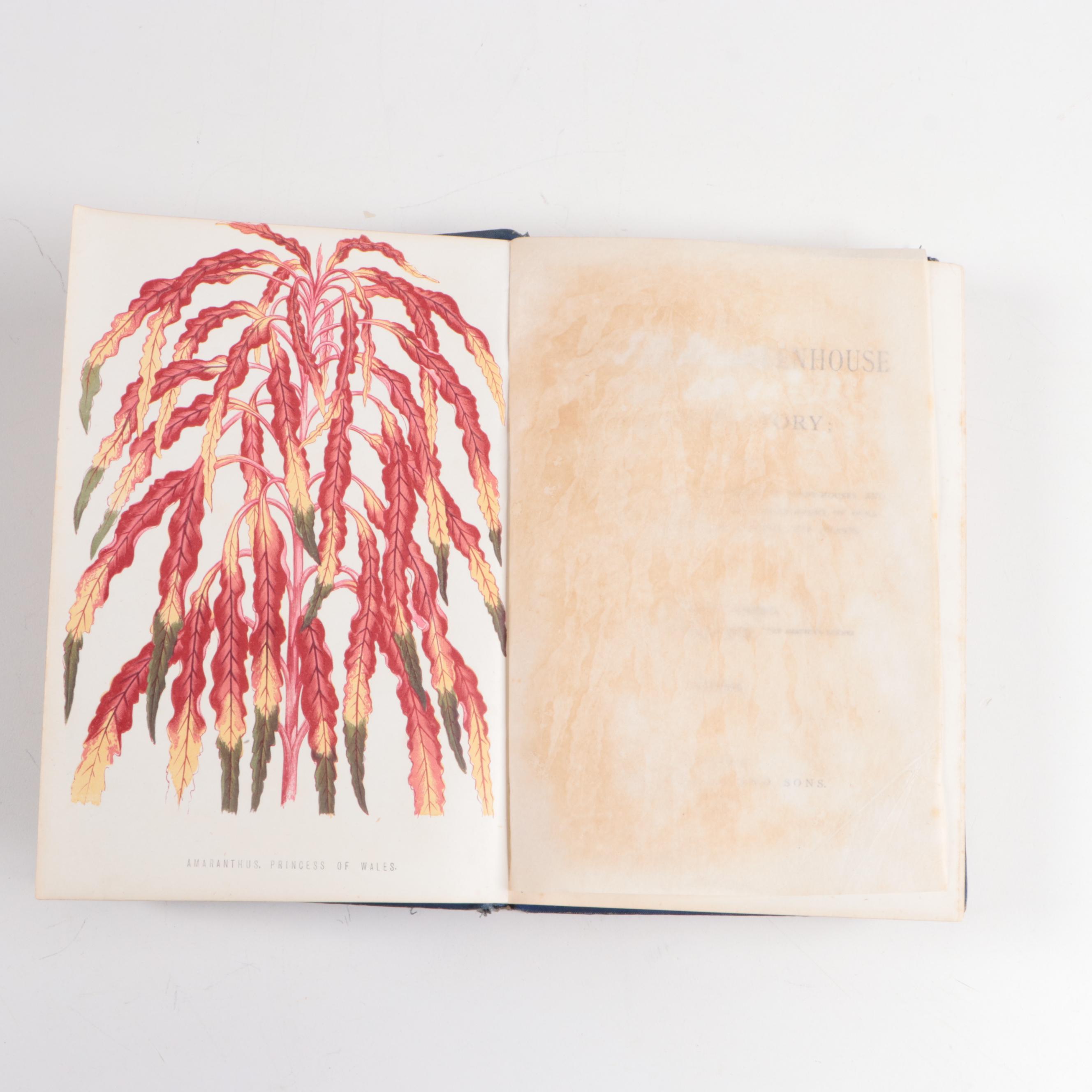 Greenhouse Growing Books Including "Greenhouse Construction" by Ravenscroft