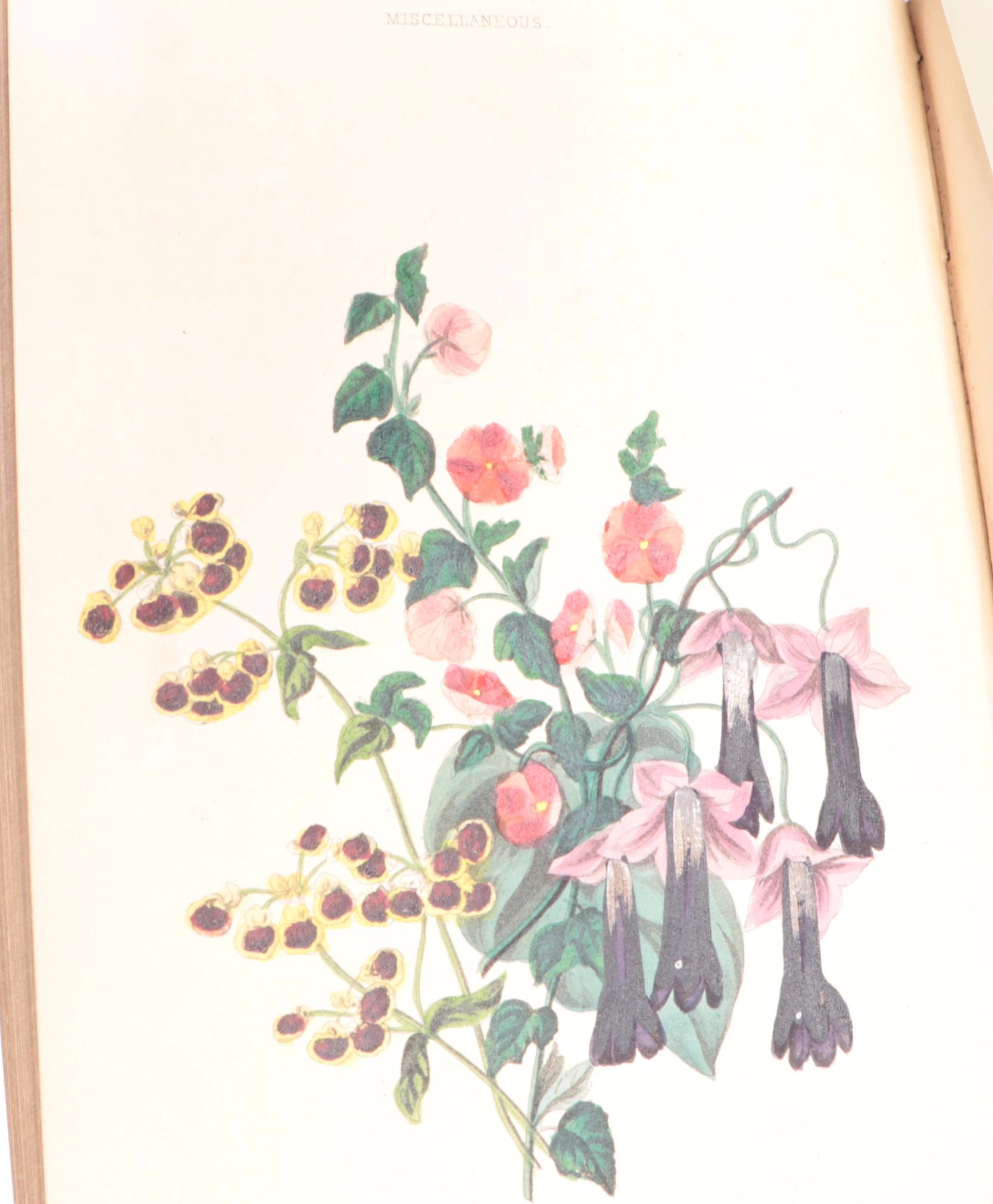 Greenhouse Growing Books Including "Greenhouse Construction" by Ravenscroft