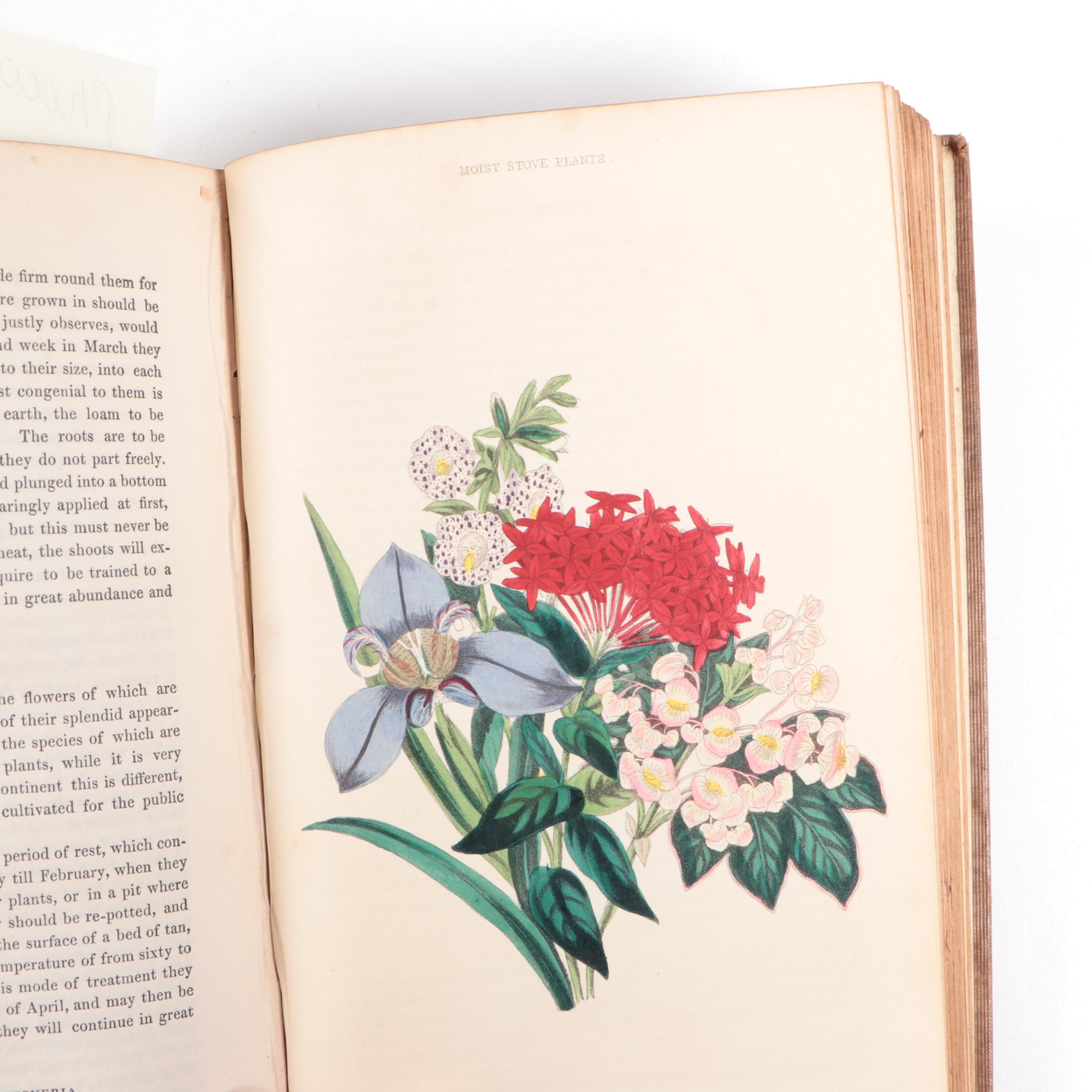 Greenhouse Growing Books Including "Greenhouse Construction" by Ravenscroft