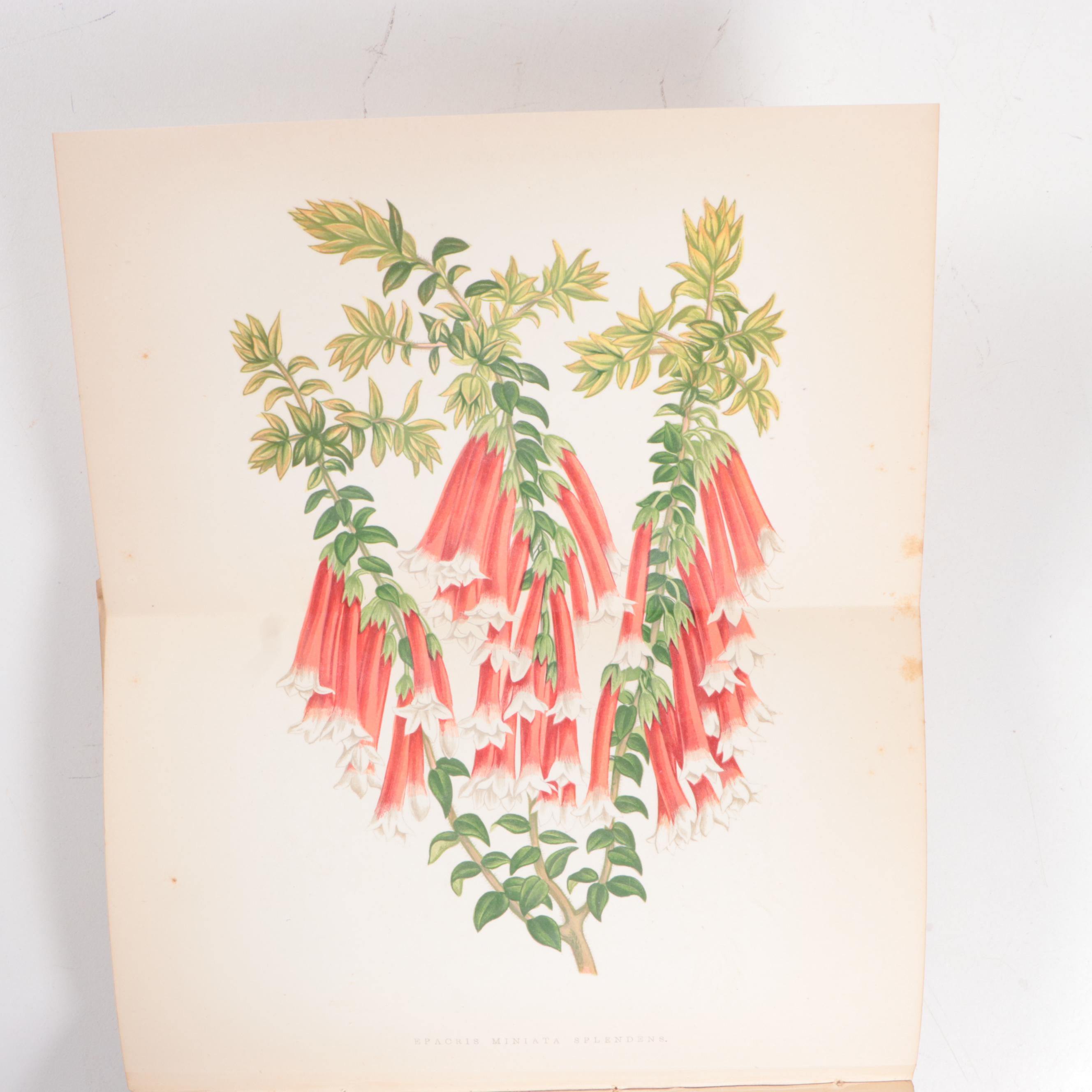 Greenhouse Growing Books Including "Greenhouse Construction" by Ravenscroft