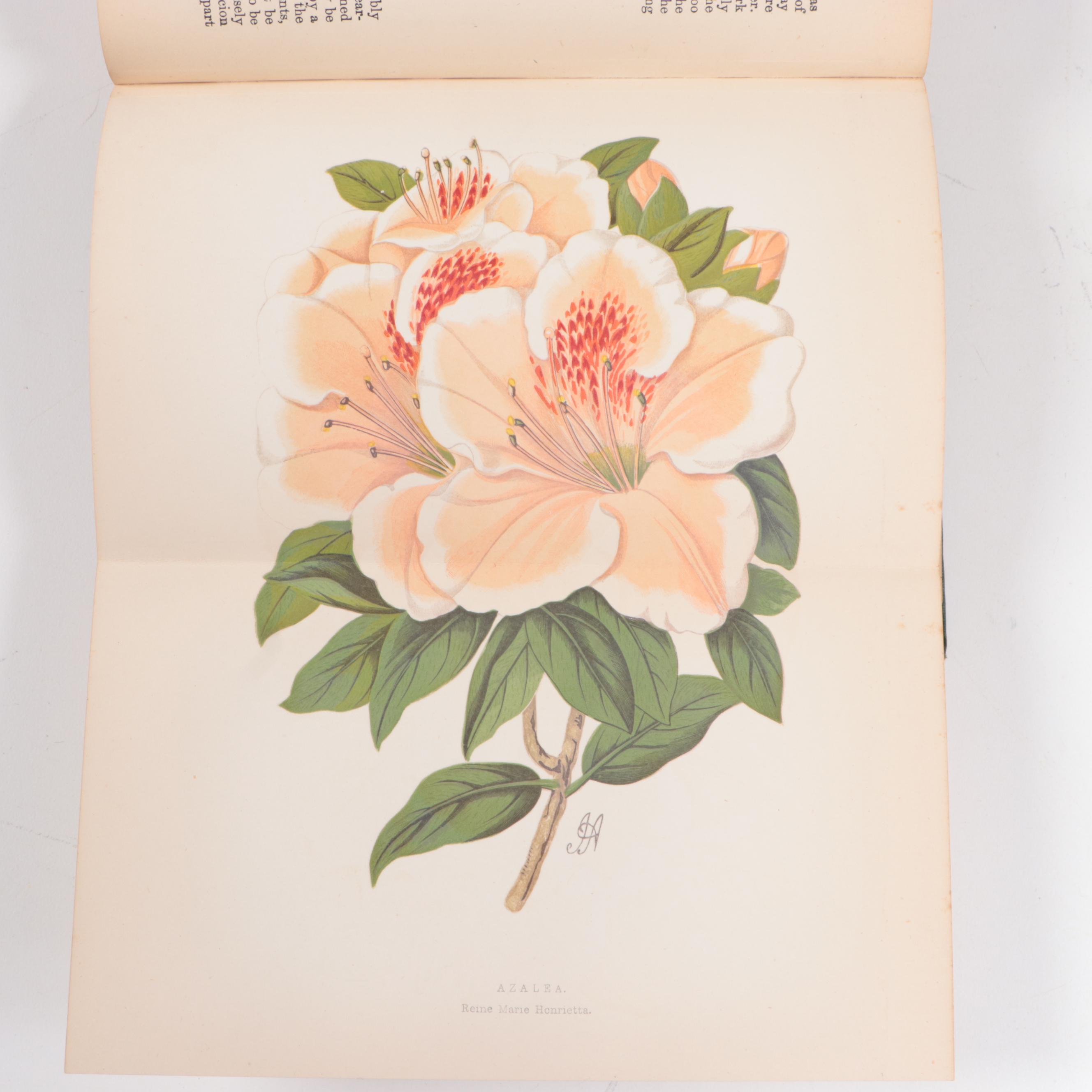 Greenhouse Growing Books Including "Greenhouse Construction" by Ravenscroft