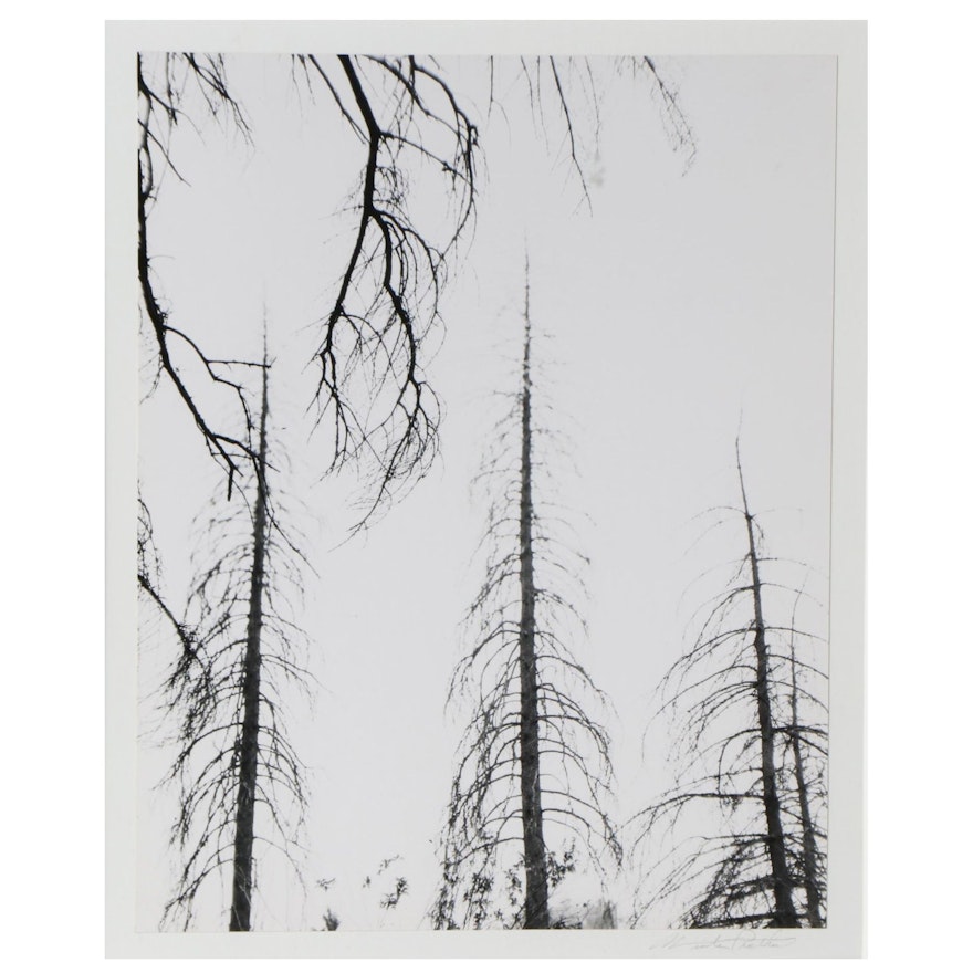 Winter Phillips Prather Silver Gelatin Photograph and Photography Book