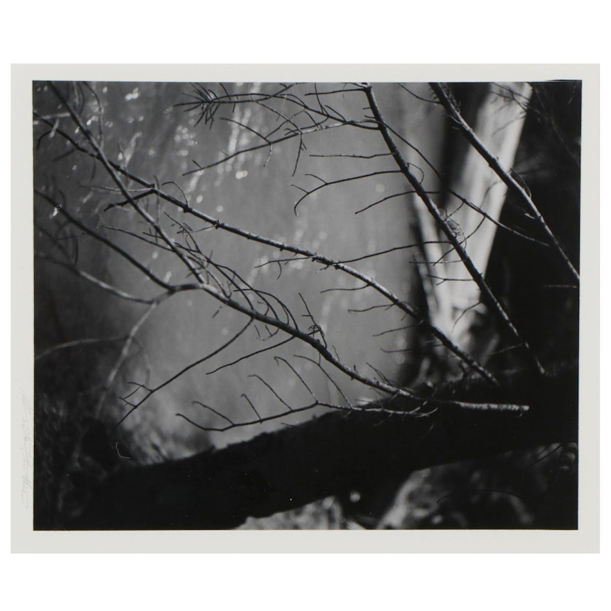 Winter Phillips Prather Silver Gelatin Photograph and Photography Book