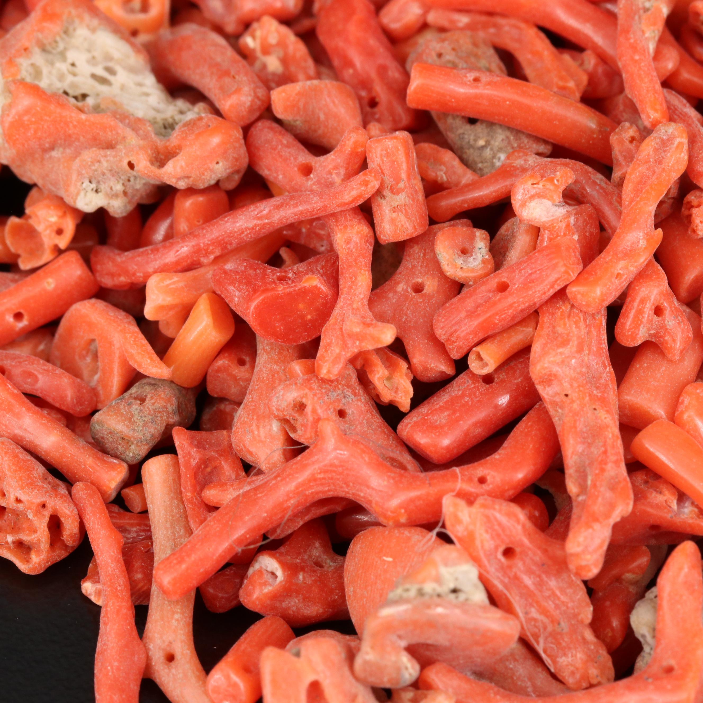 Loose Coral Selection Featuring Various Shapes