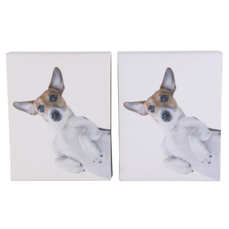 Offset Lithographs of Jack Russell Terriers