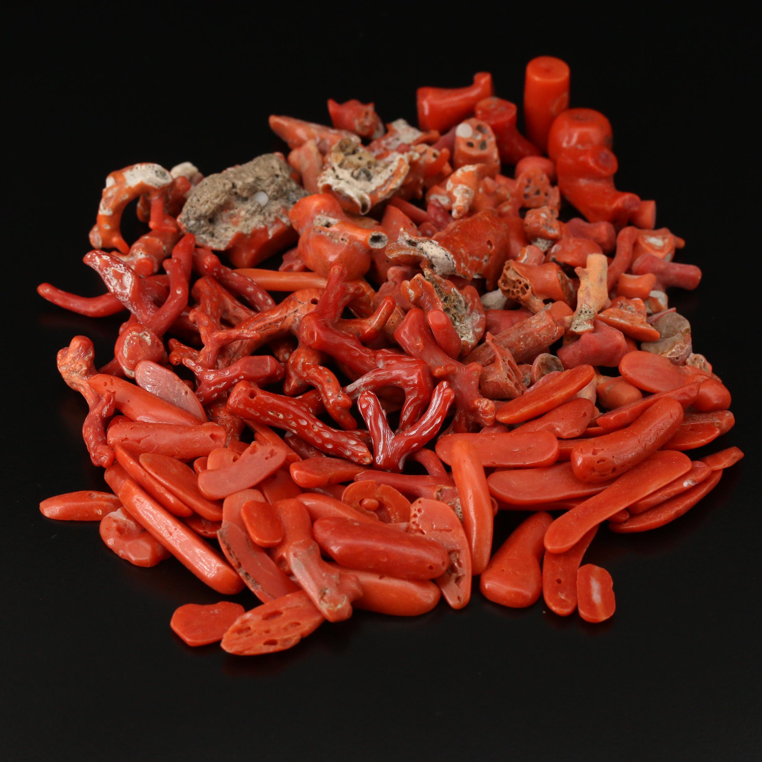 Loose Mixed Coral Including Branch, Rough Cut and Beads