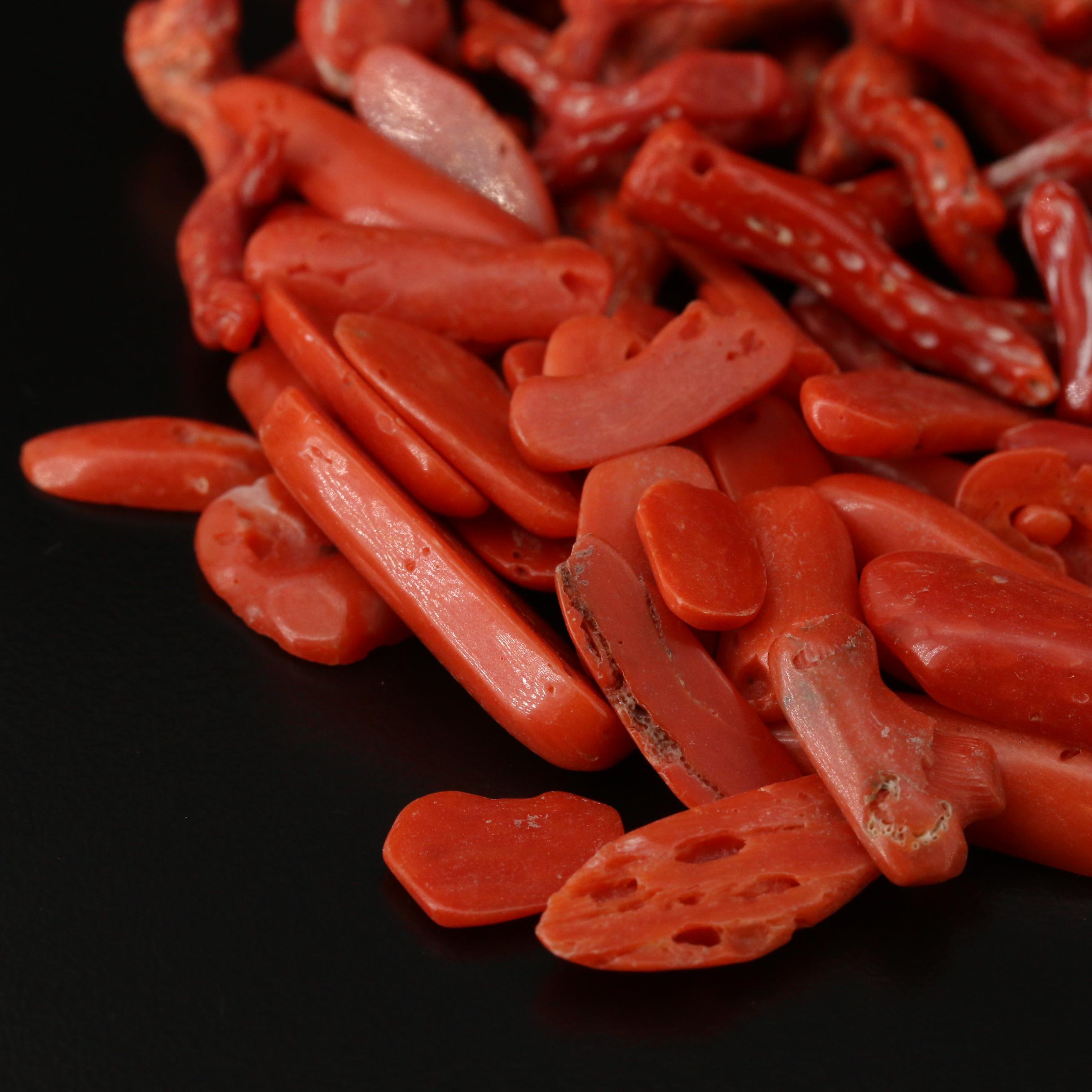 Loose Mixed Coral Including Branch, Rough Cut and Beads