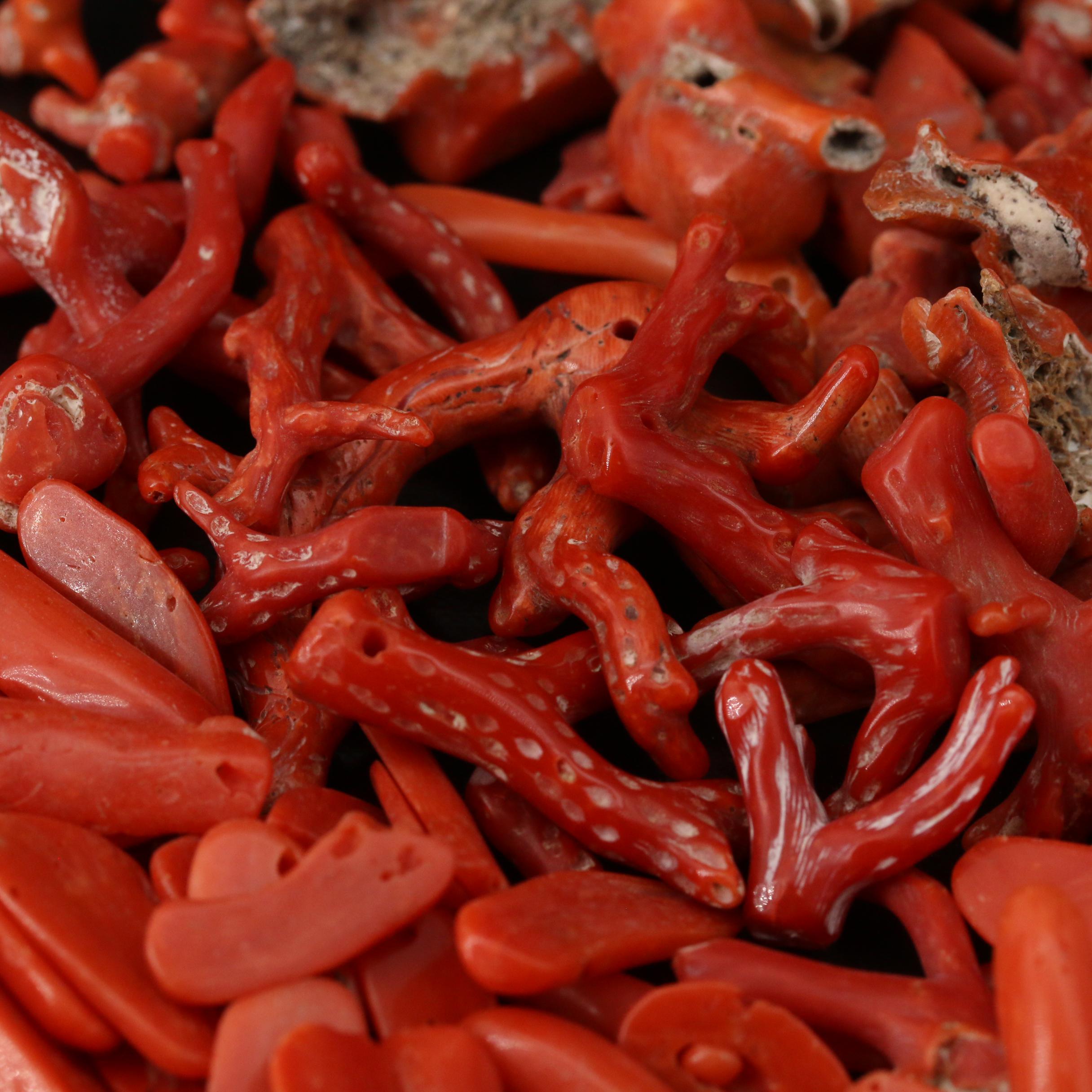 Loose Mixed Coral Including Branch, Rough Cut and Beads
