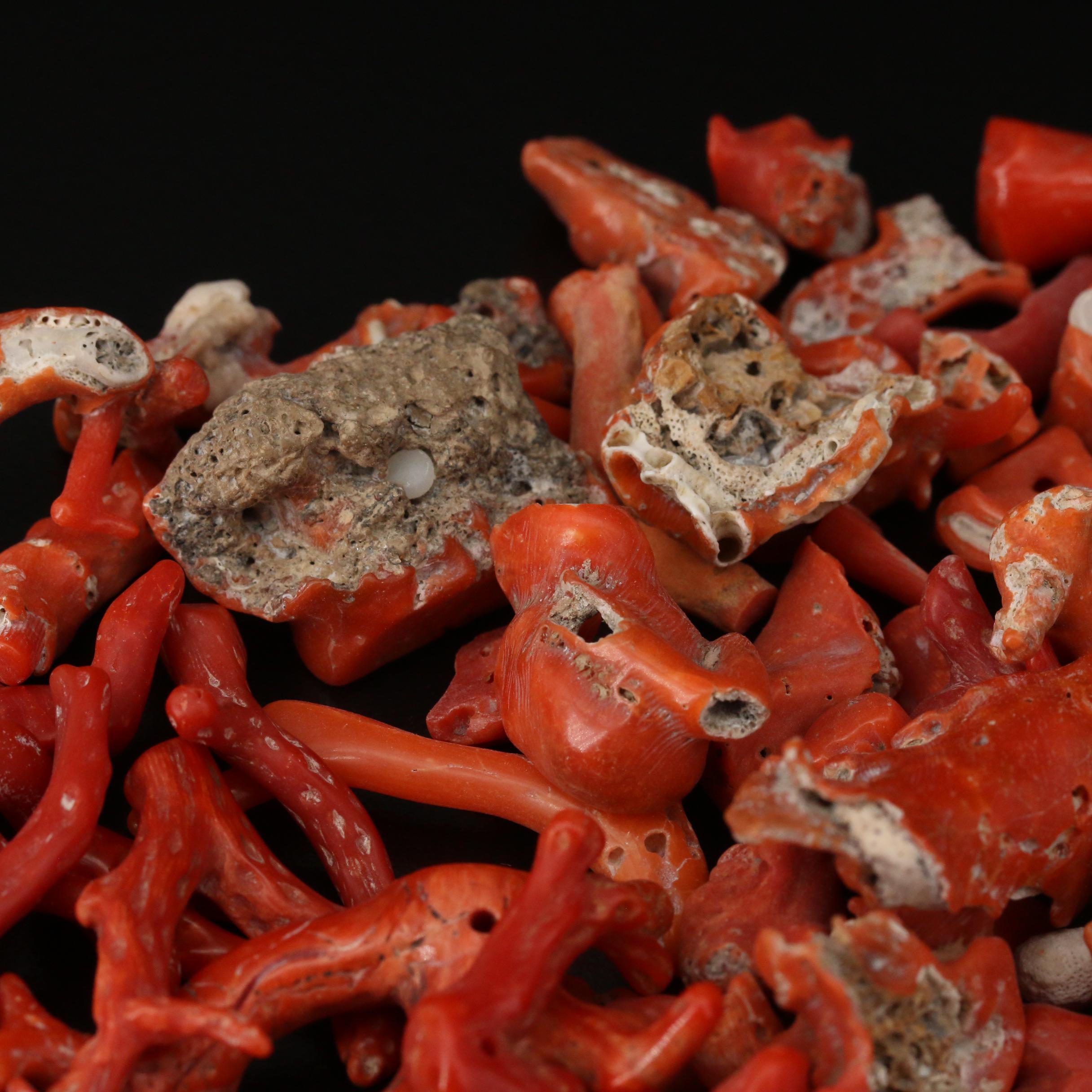 Loose Mixed Coral Including Branch, Rough Cut and Beads