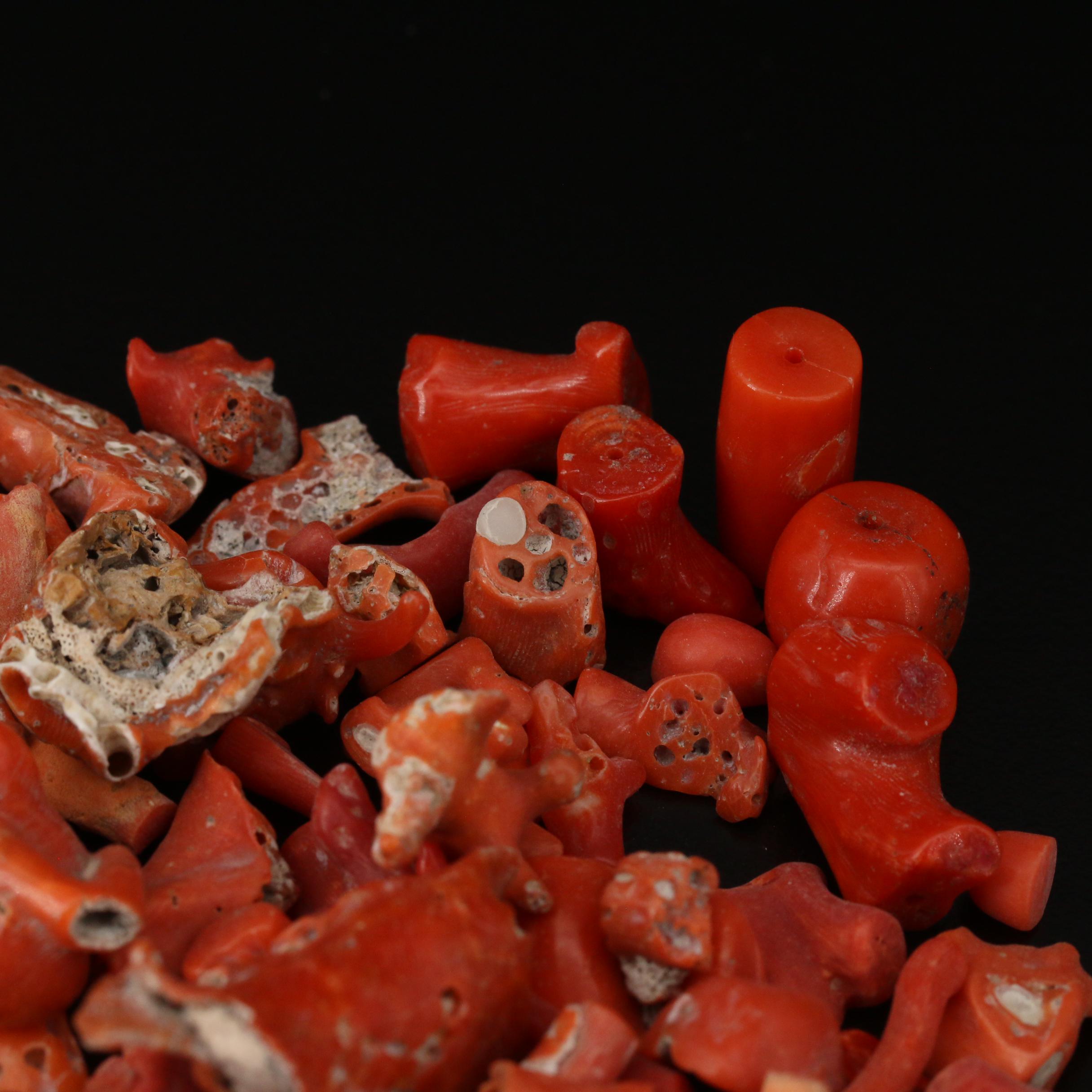 Loose Mixed Coral Including Branch, Rough Cut and Beads
