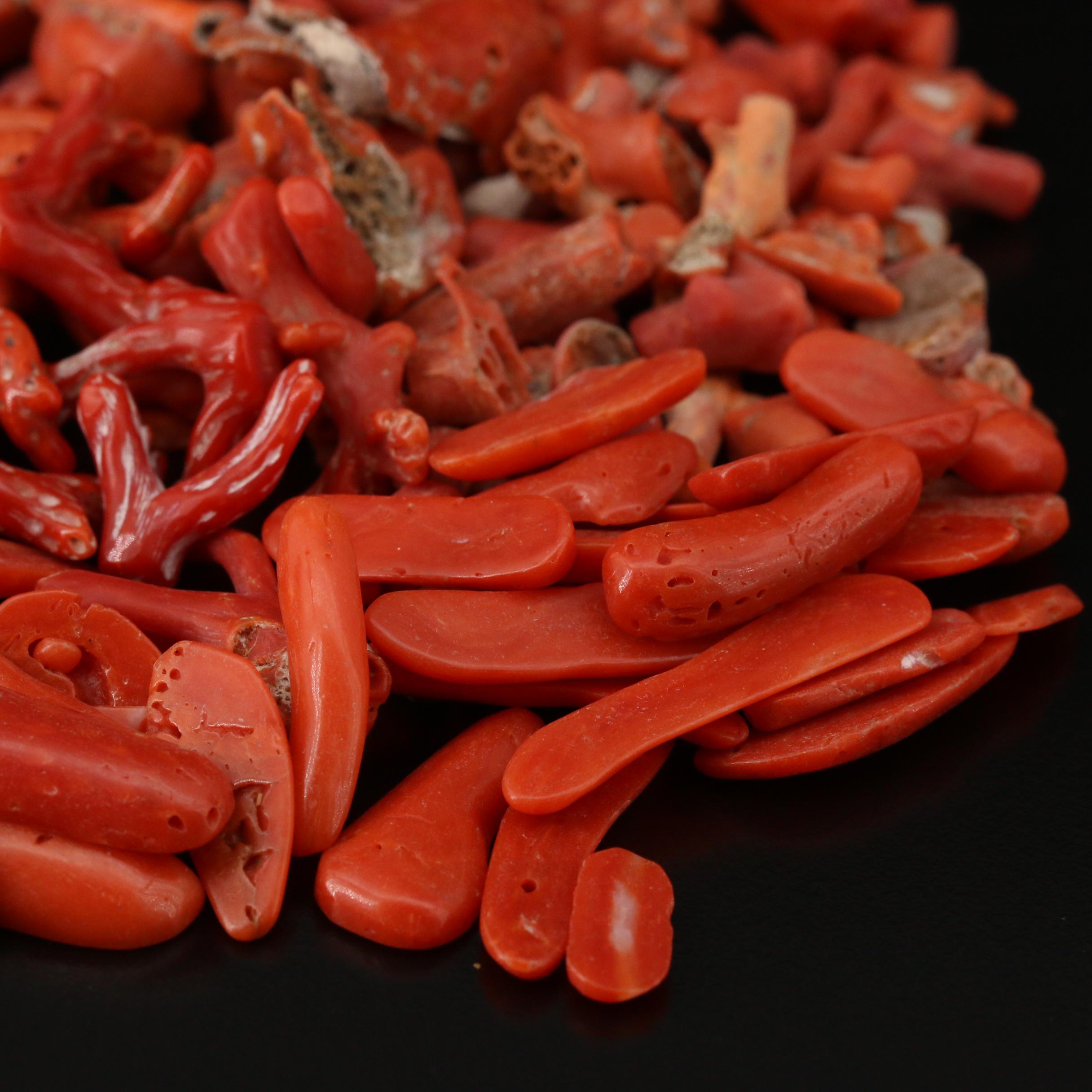 Loose Mixed Coral Including Branch, Rough Cut and Beads