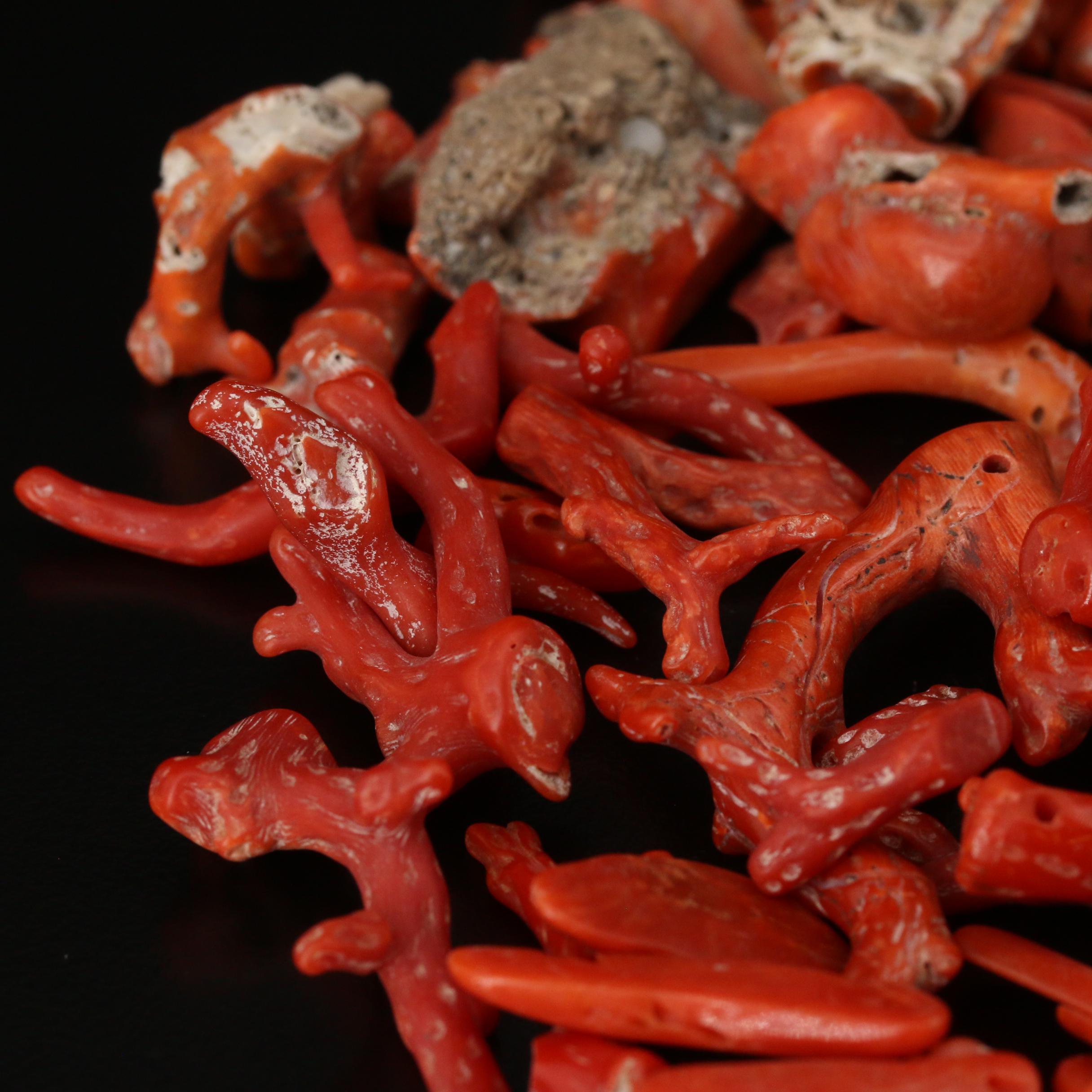 Loose Mixed Coral Including Branch, Rough Cut and Beads