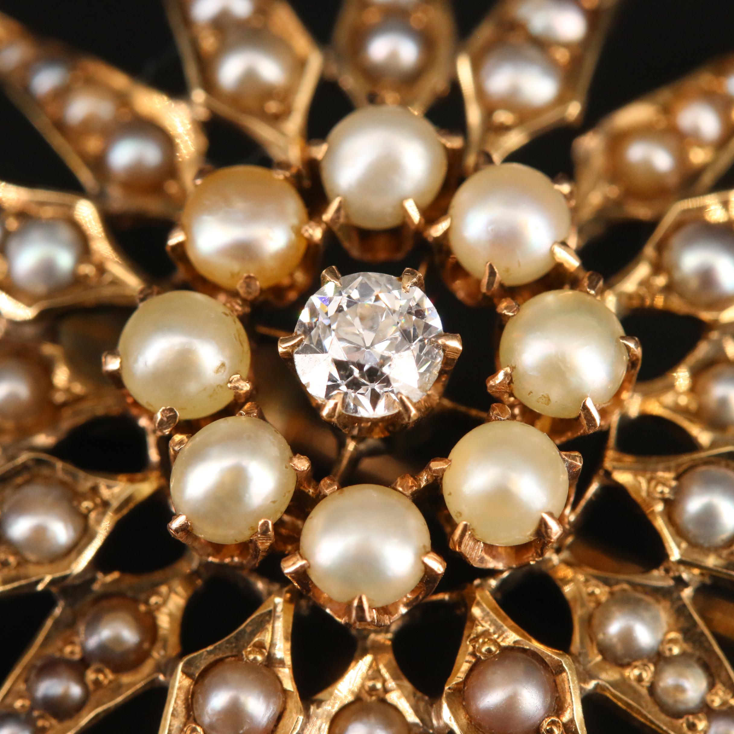 Victorian 14K Diamond and Pearl Starburst Converter Brooch