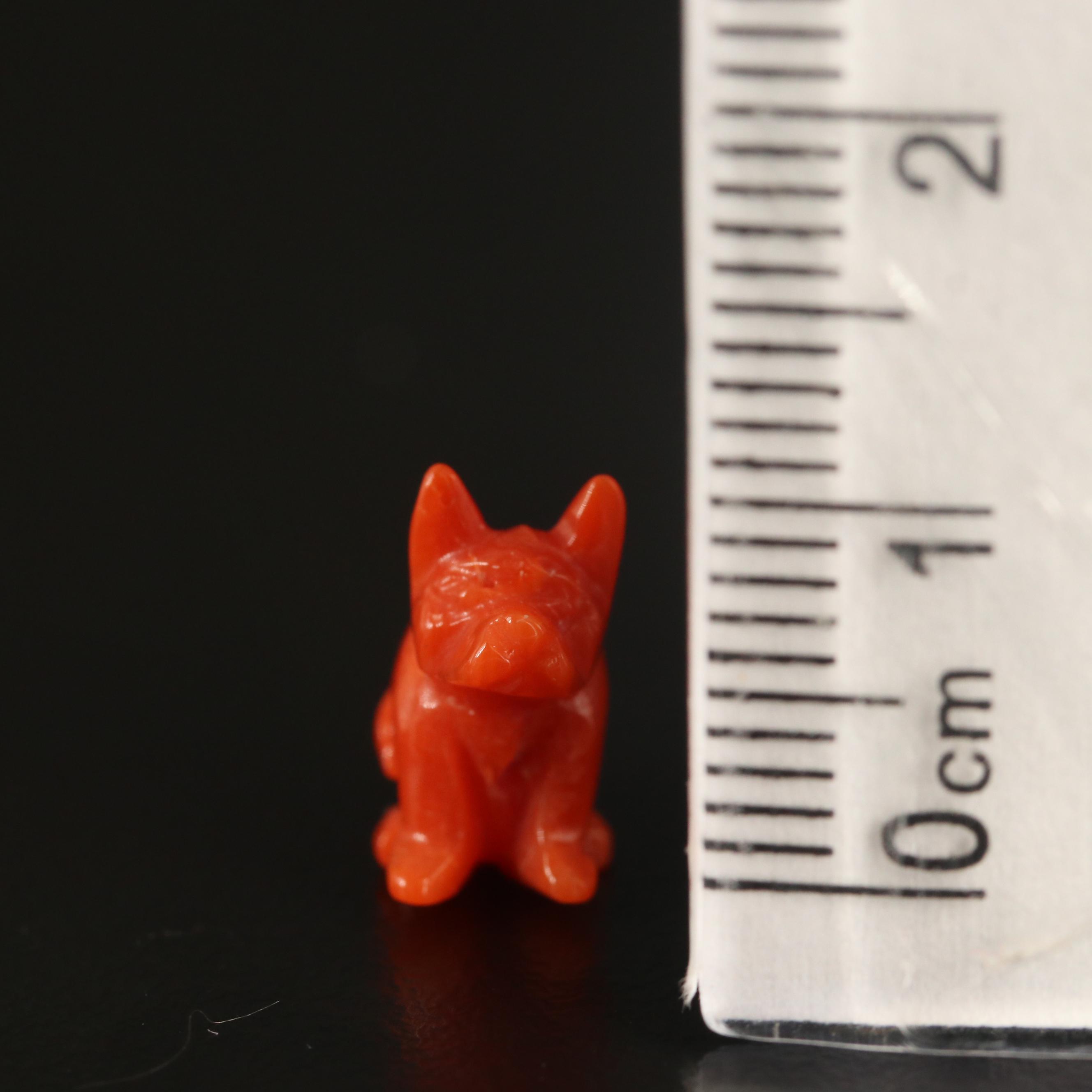 Loose Carved Coral Dogs