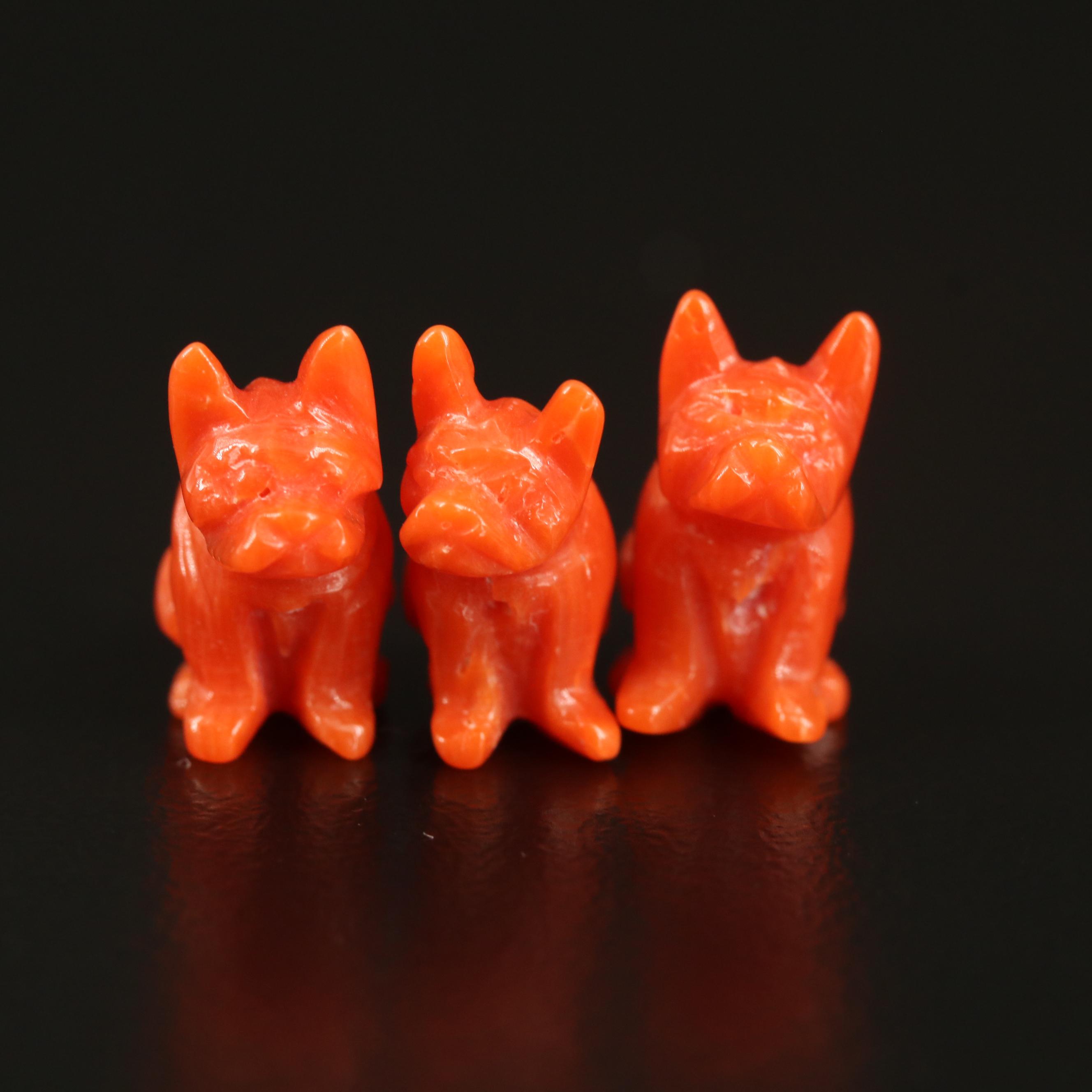 Loose Carved Coral Dogs