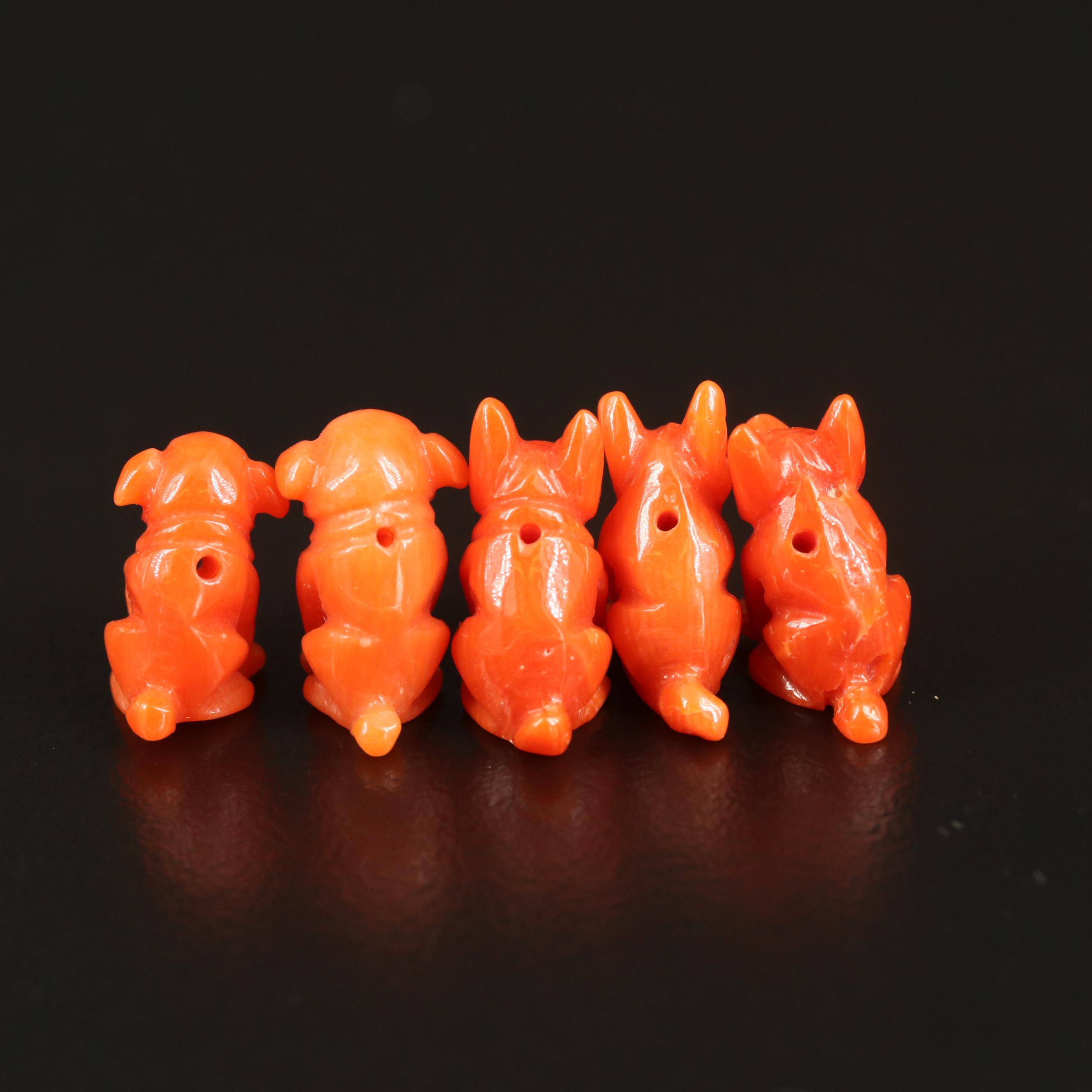 Loose Carved Coral Dogs