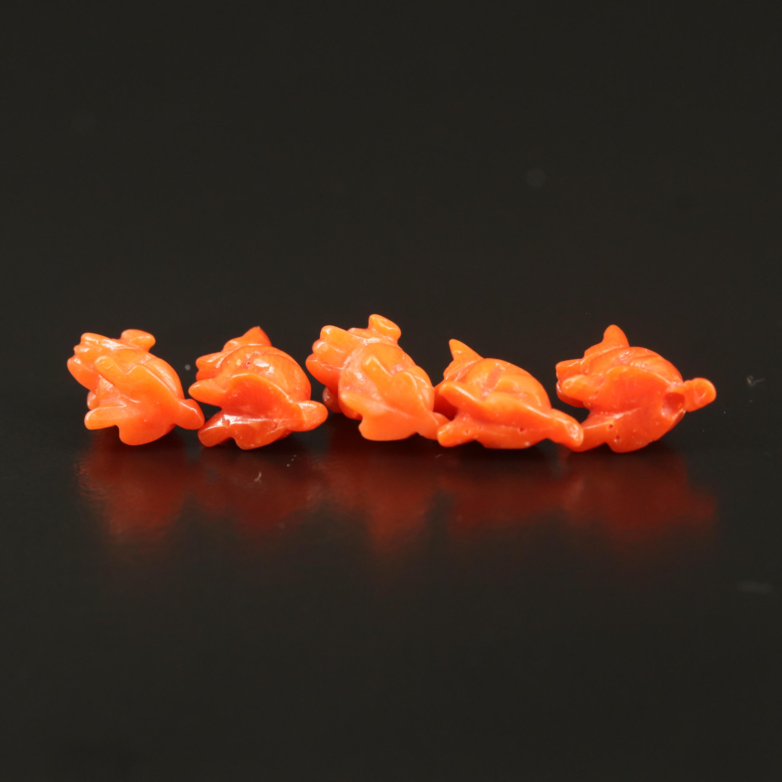 Loose Carved Coral Dogs