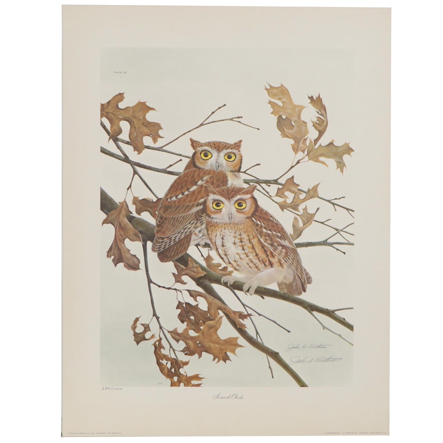 John A. Ruthven Offset Lithograph "Screech Owls"