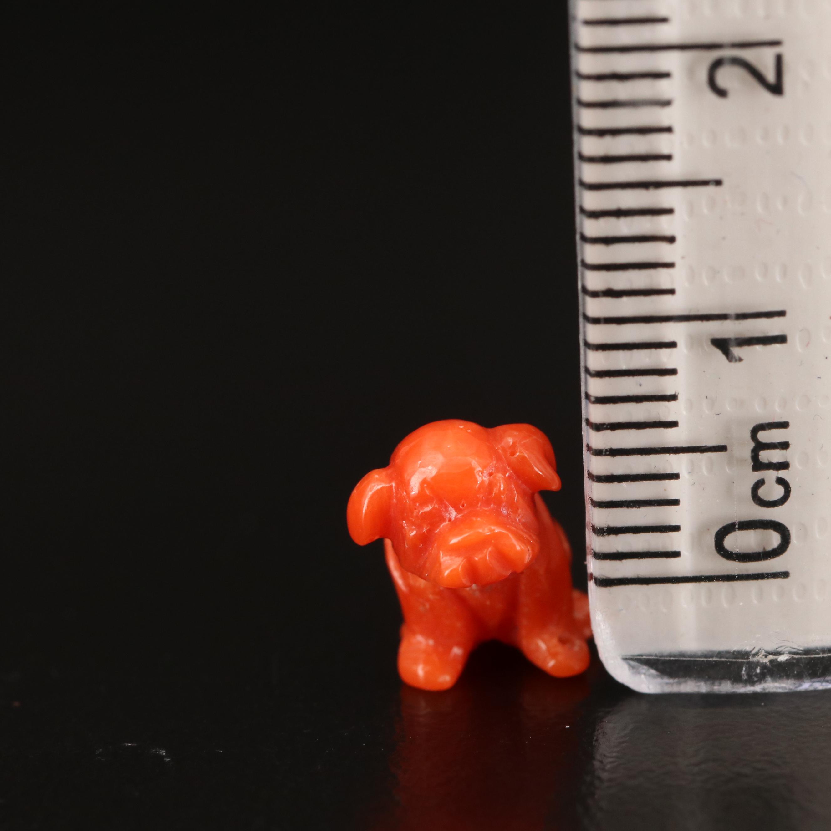 Loose Carved Coral Dog Beads