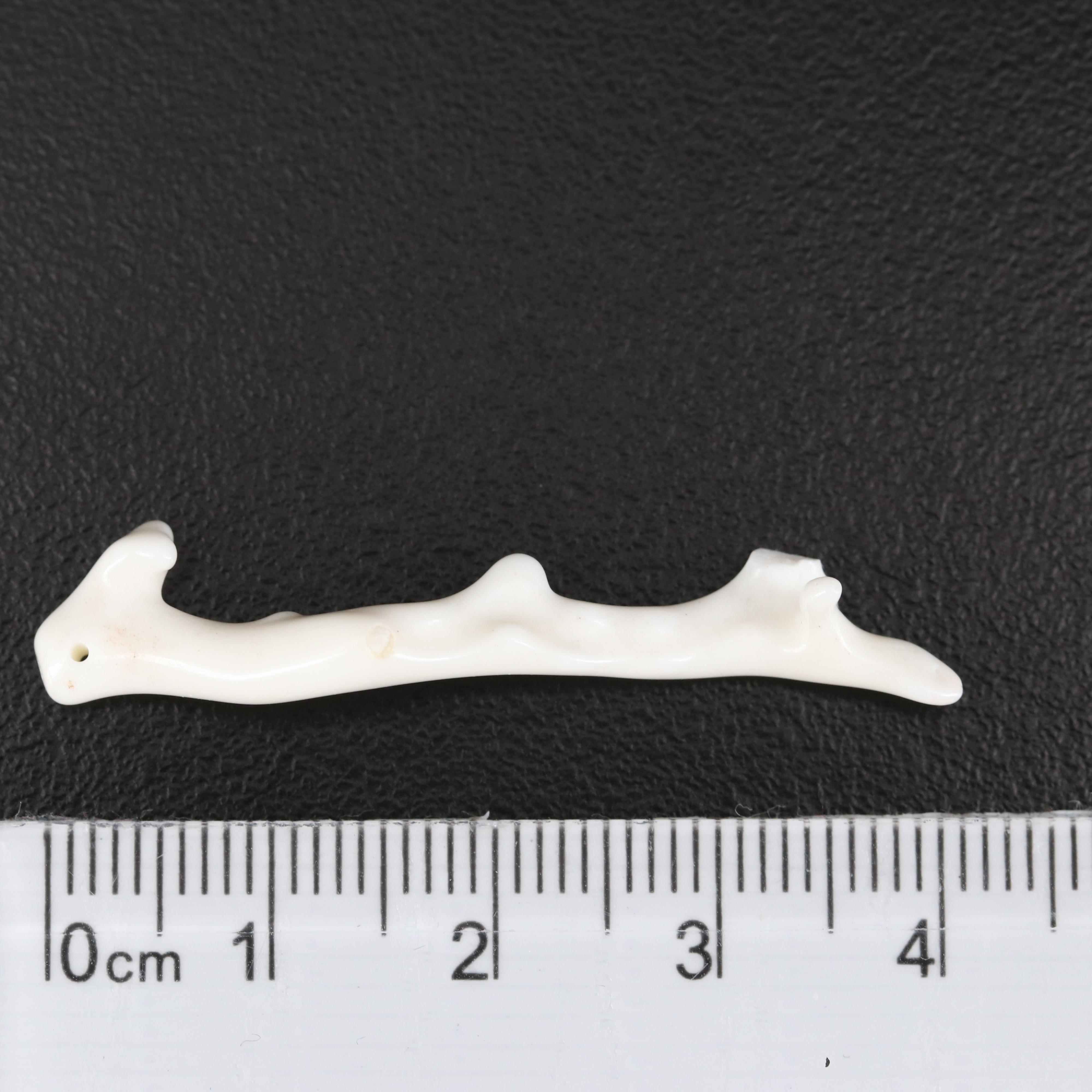 Loose Angel Skin Coral Selection