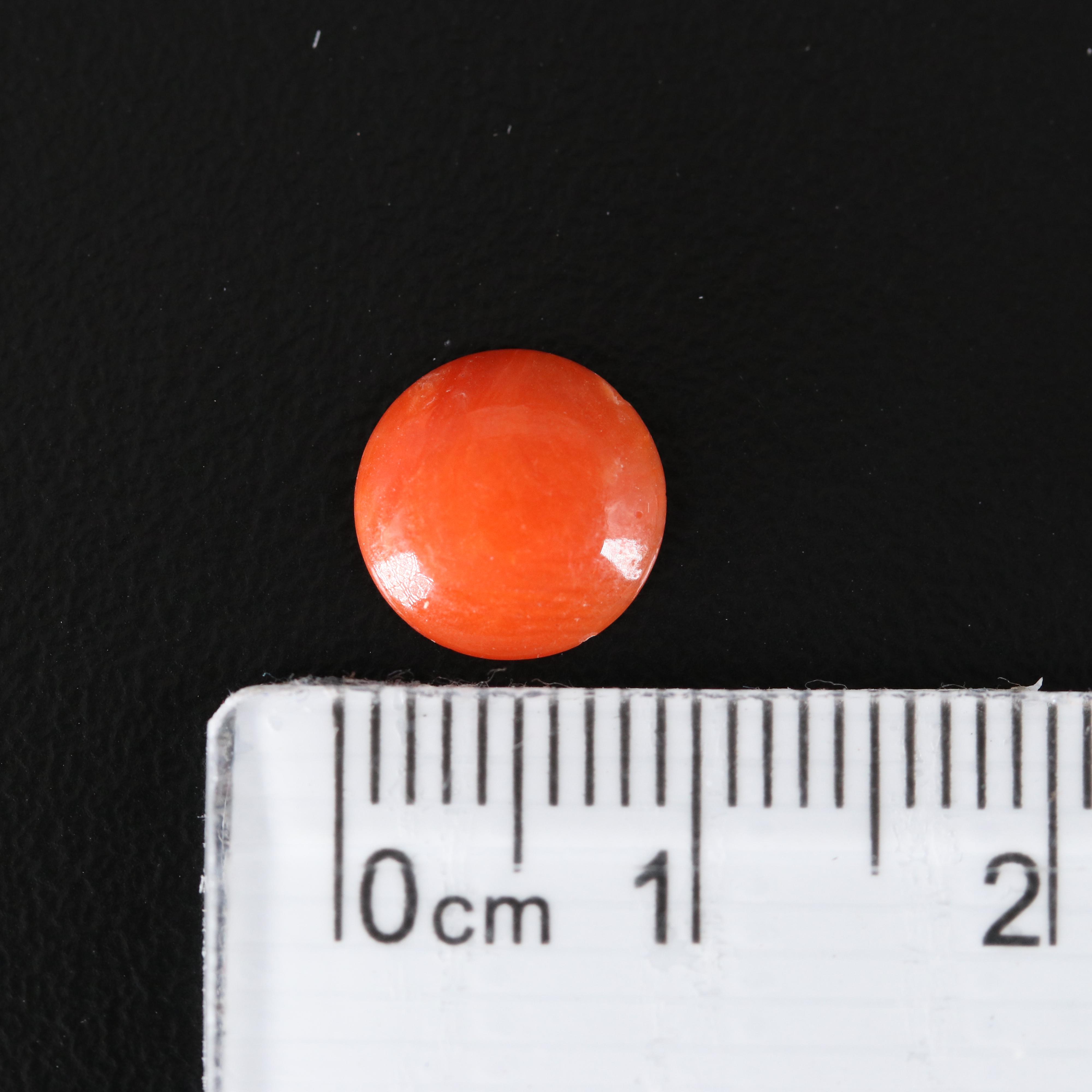 Loose Round Coral Cabochon Assortment