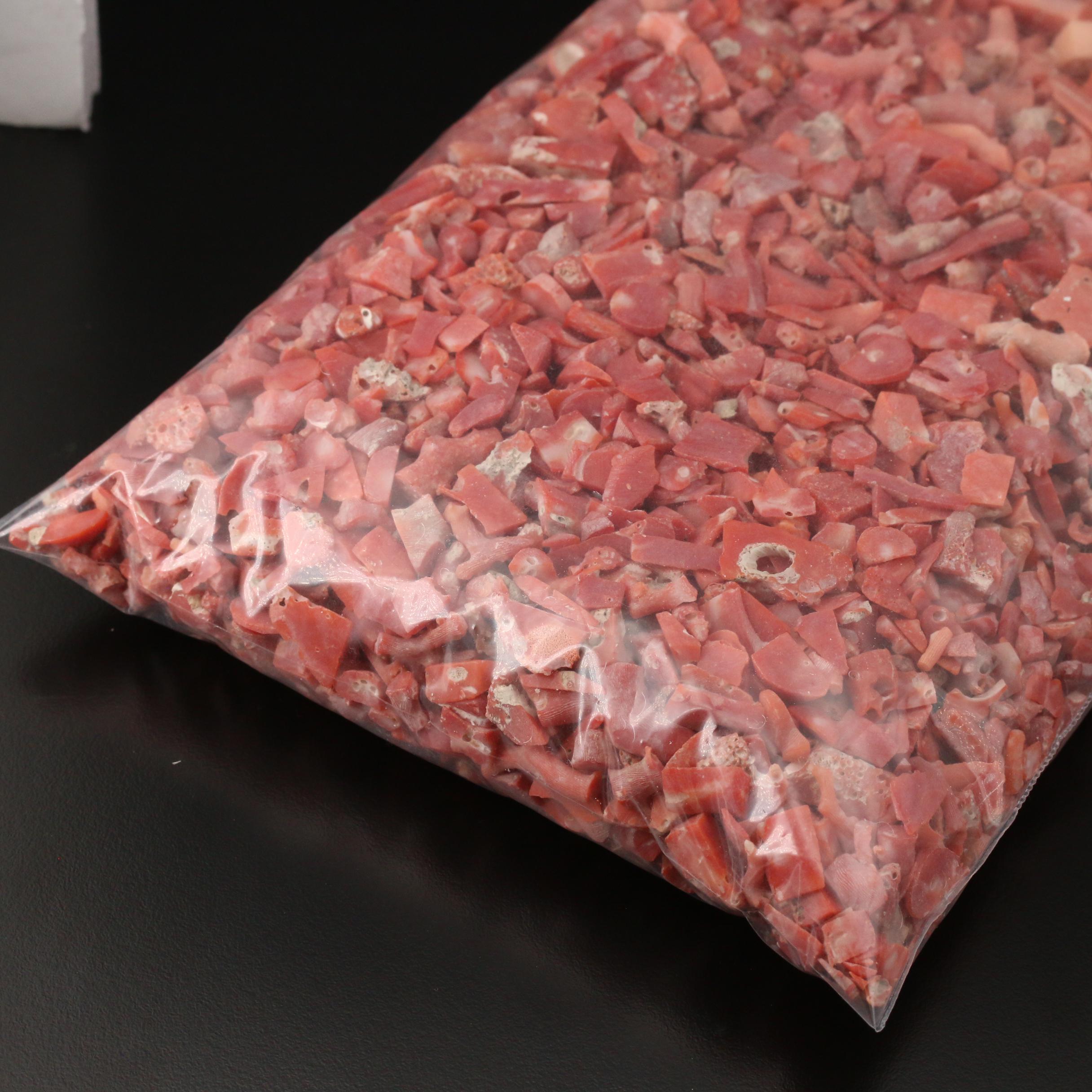 Loose Rough Pieces of Coral