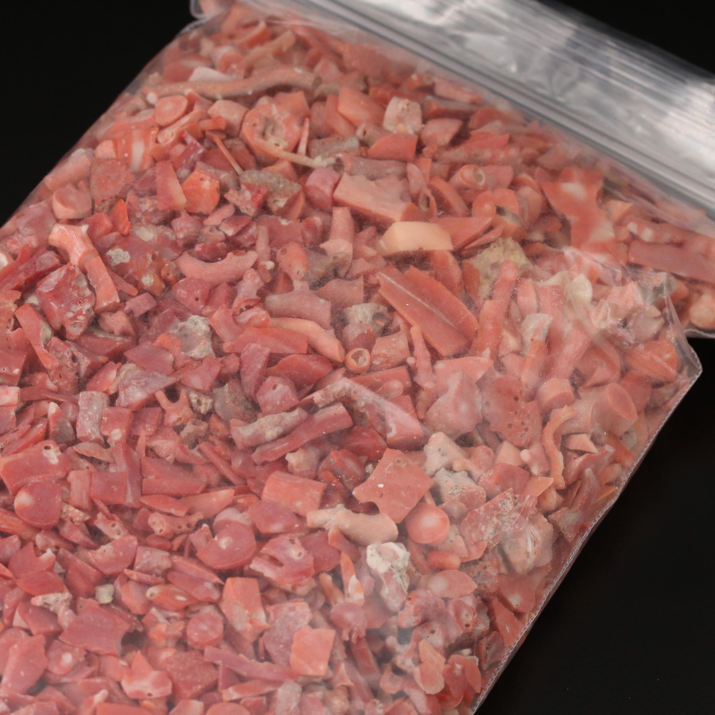 Loose Rough Pieces of Coral