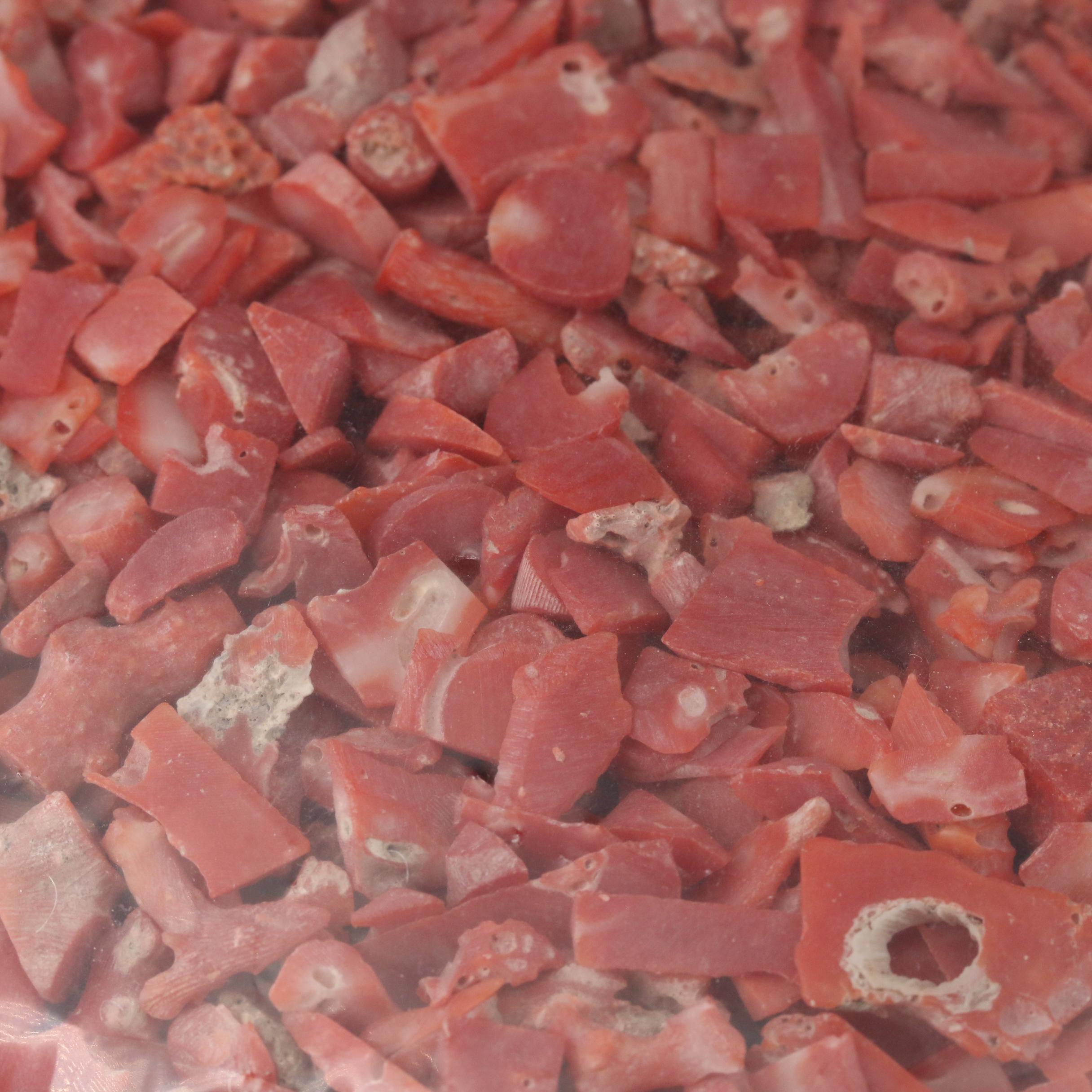 Loose Rough Pieces of Coral